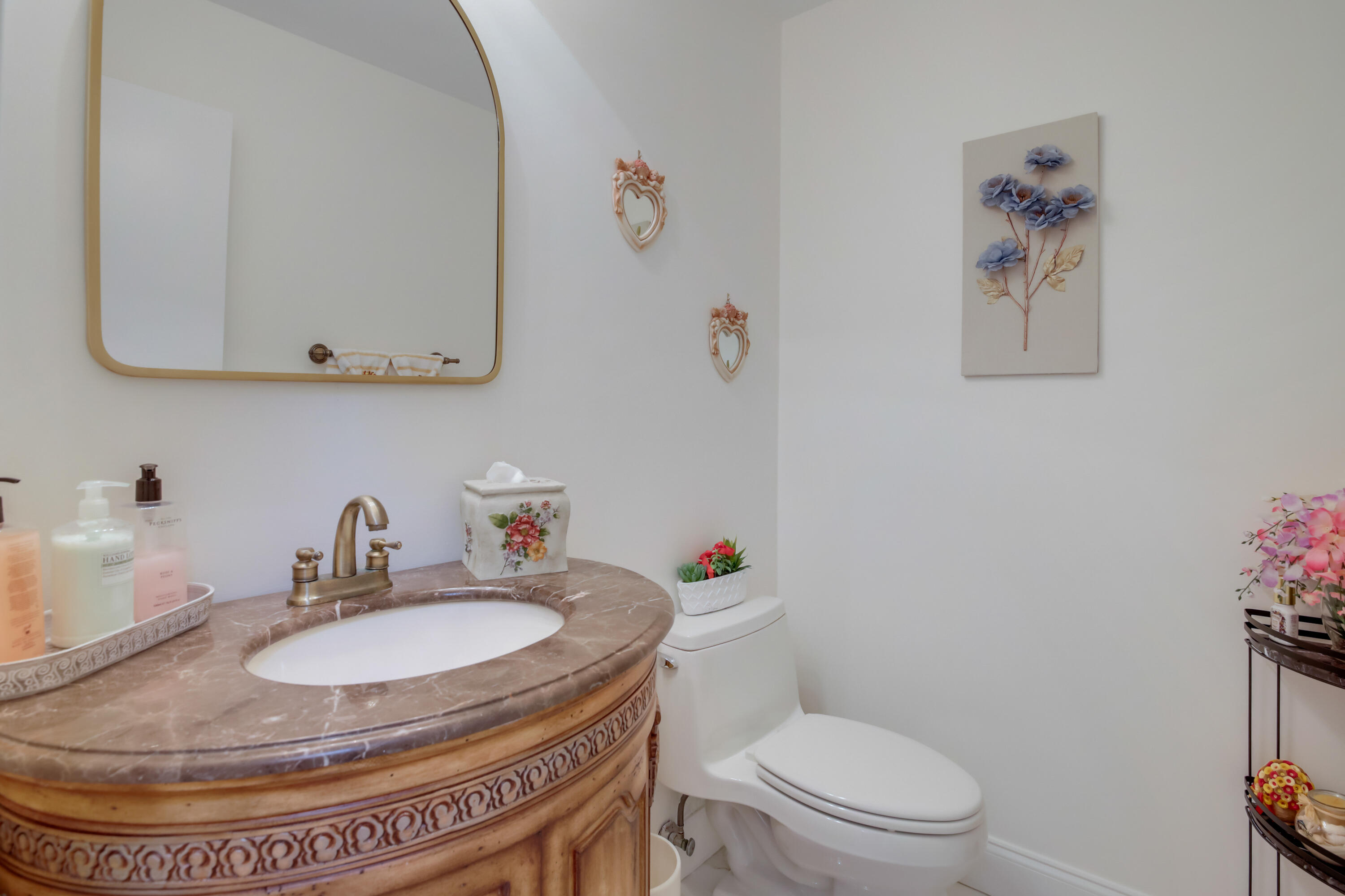 6858 Fountains Circle Property Photo 32