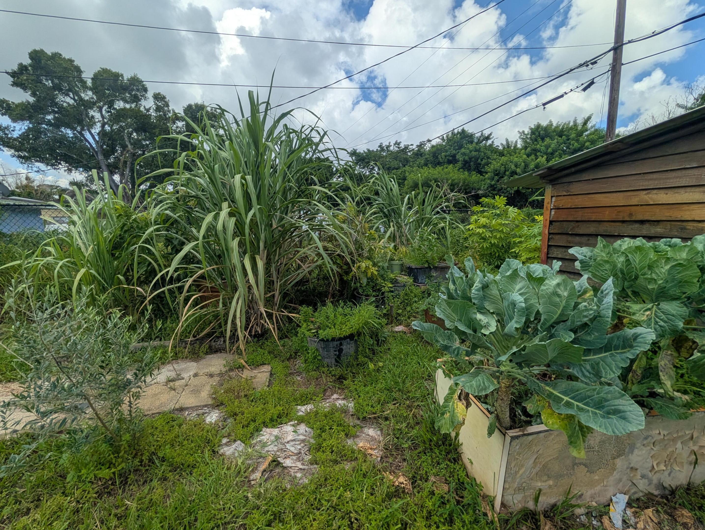 625 Coconut Avenue N Property Photo 39