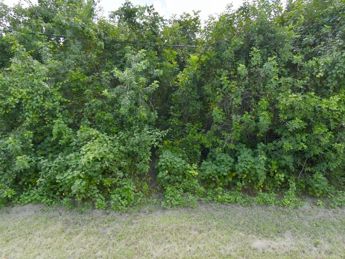 3025 Sw Collings Drive Property Photo 1