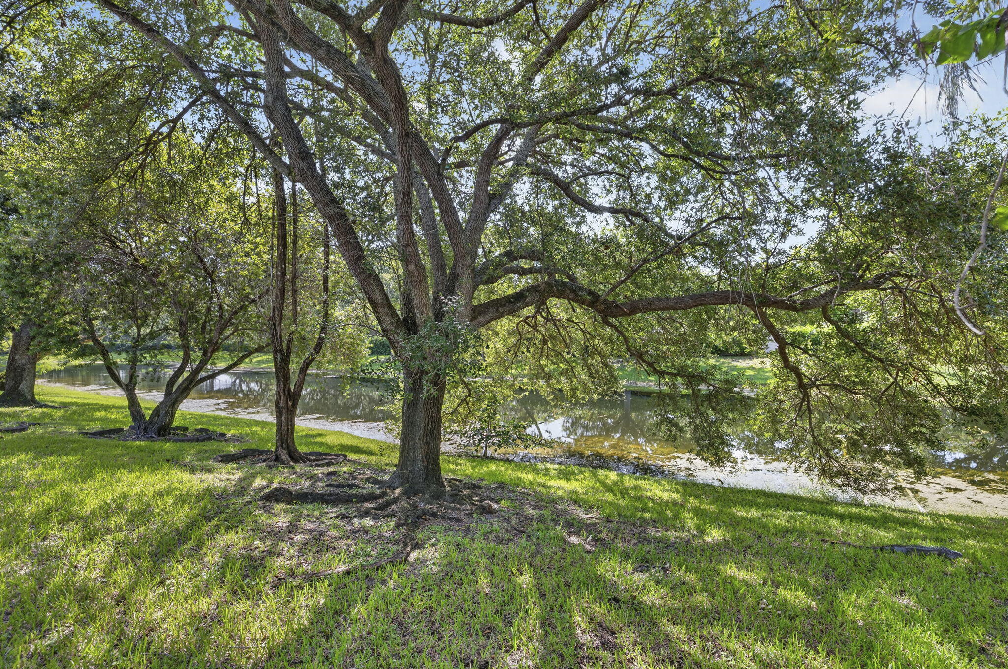 11728 Highland Place Property Photo 30