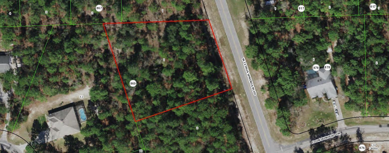 4228 W Citrus Springs Boulevard Property Photo 2