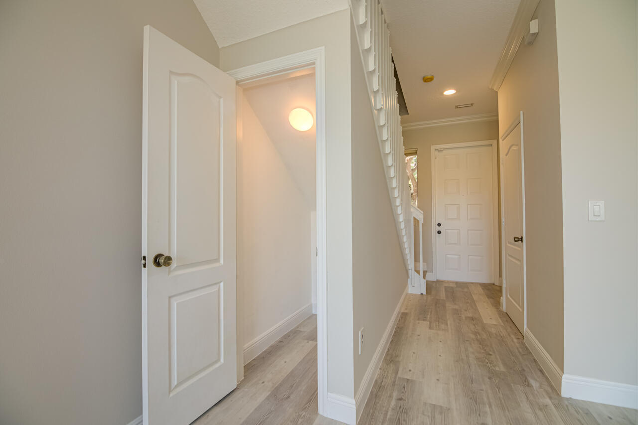 446 Rainbow Springs Terrace Property Photo 3