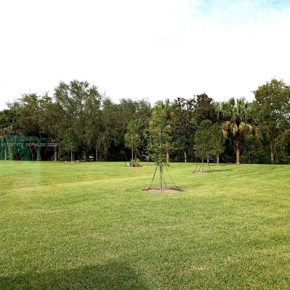 6555 Barbados Court Property Photo 26
