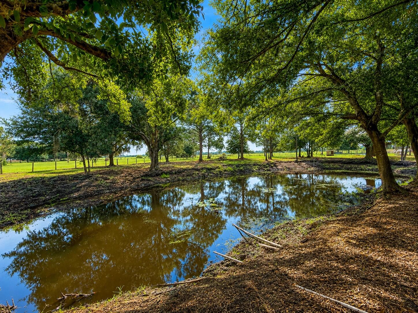140 Park Land Drive Property Photo 32