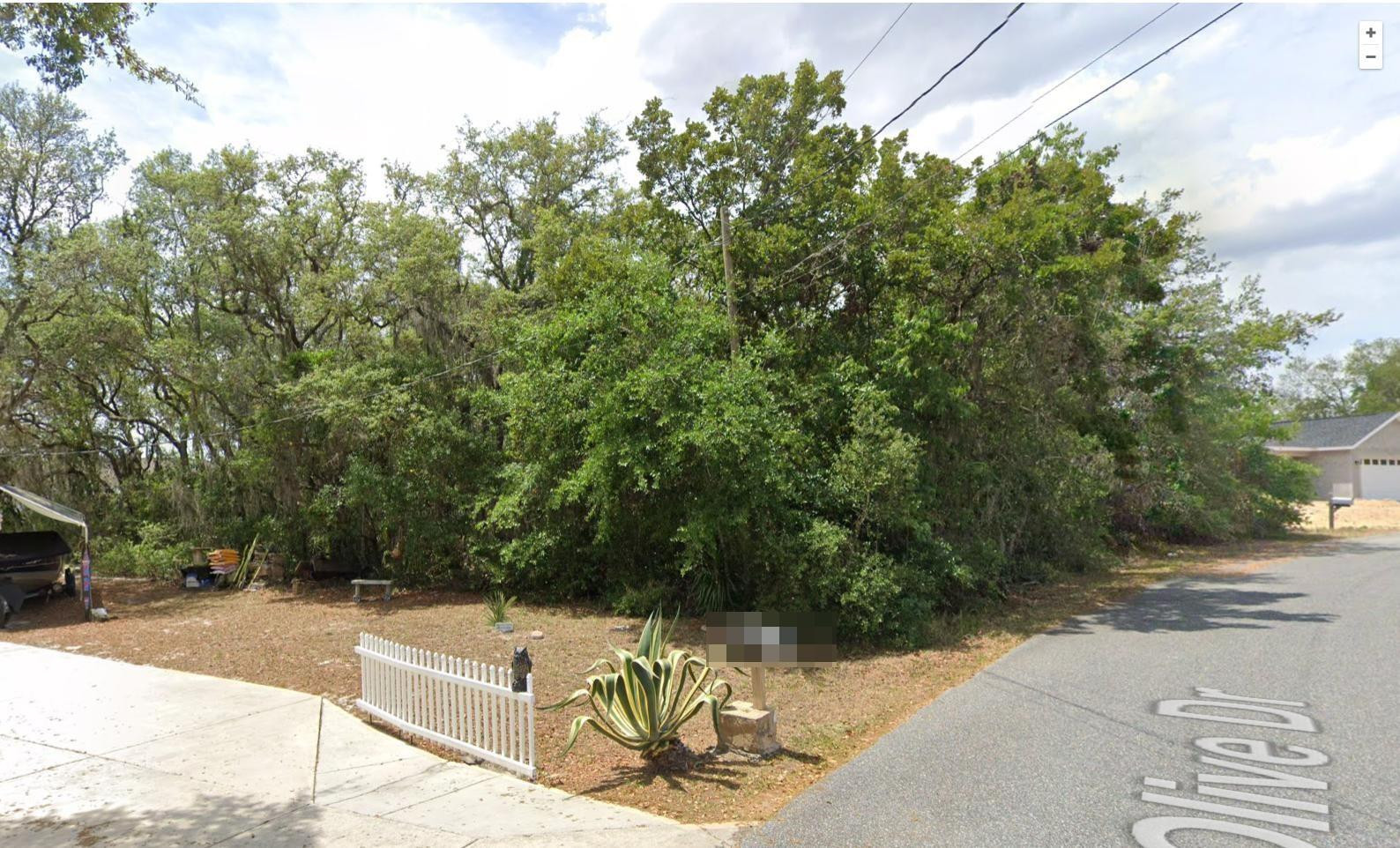 26 Olive Drive Property Photo 1