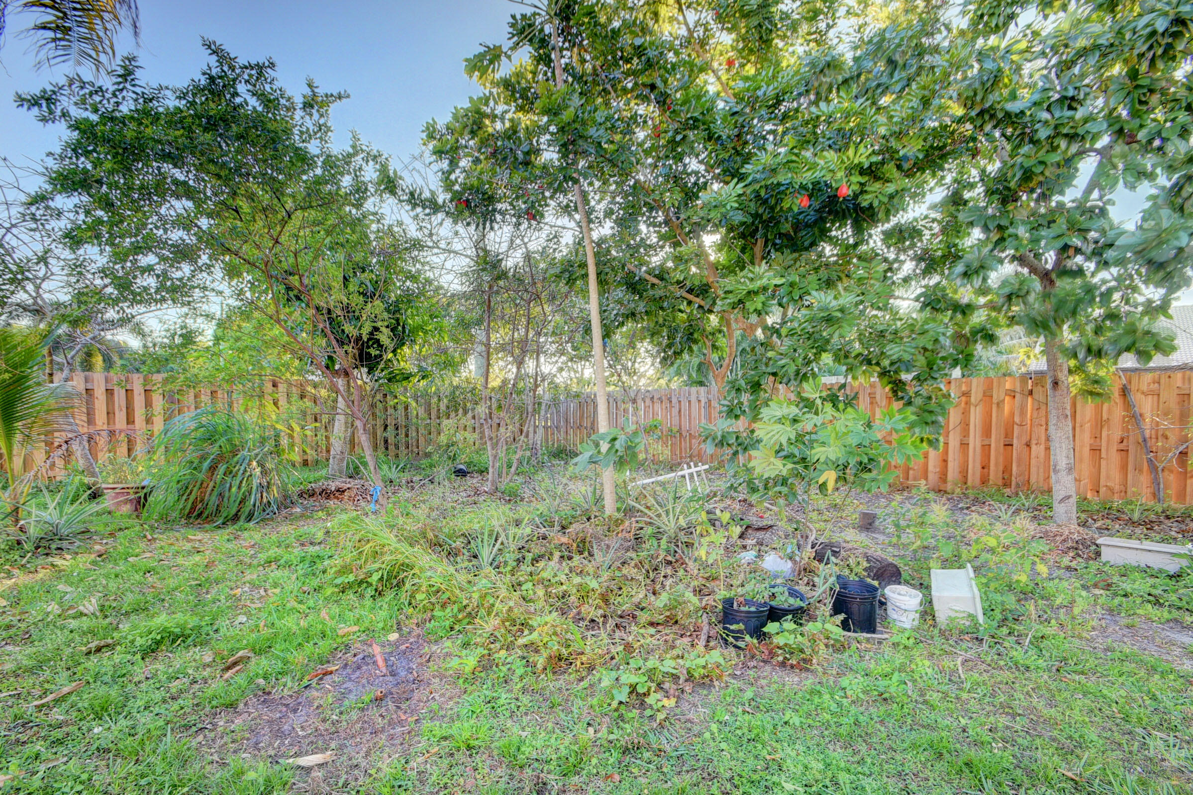 9697 Majestic Way Property Photo 31