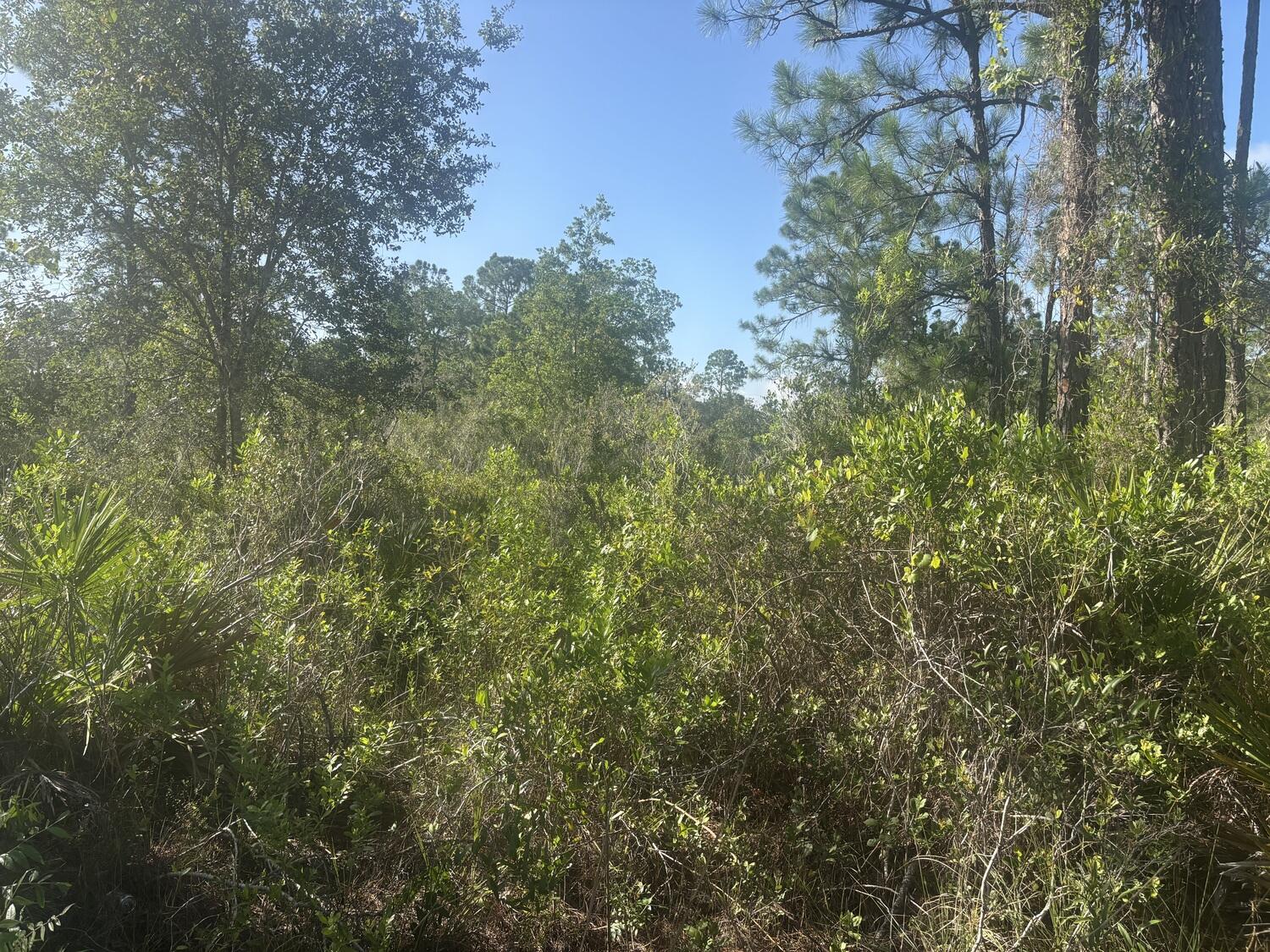 1021 Granger Street Property Photo 1