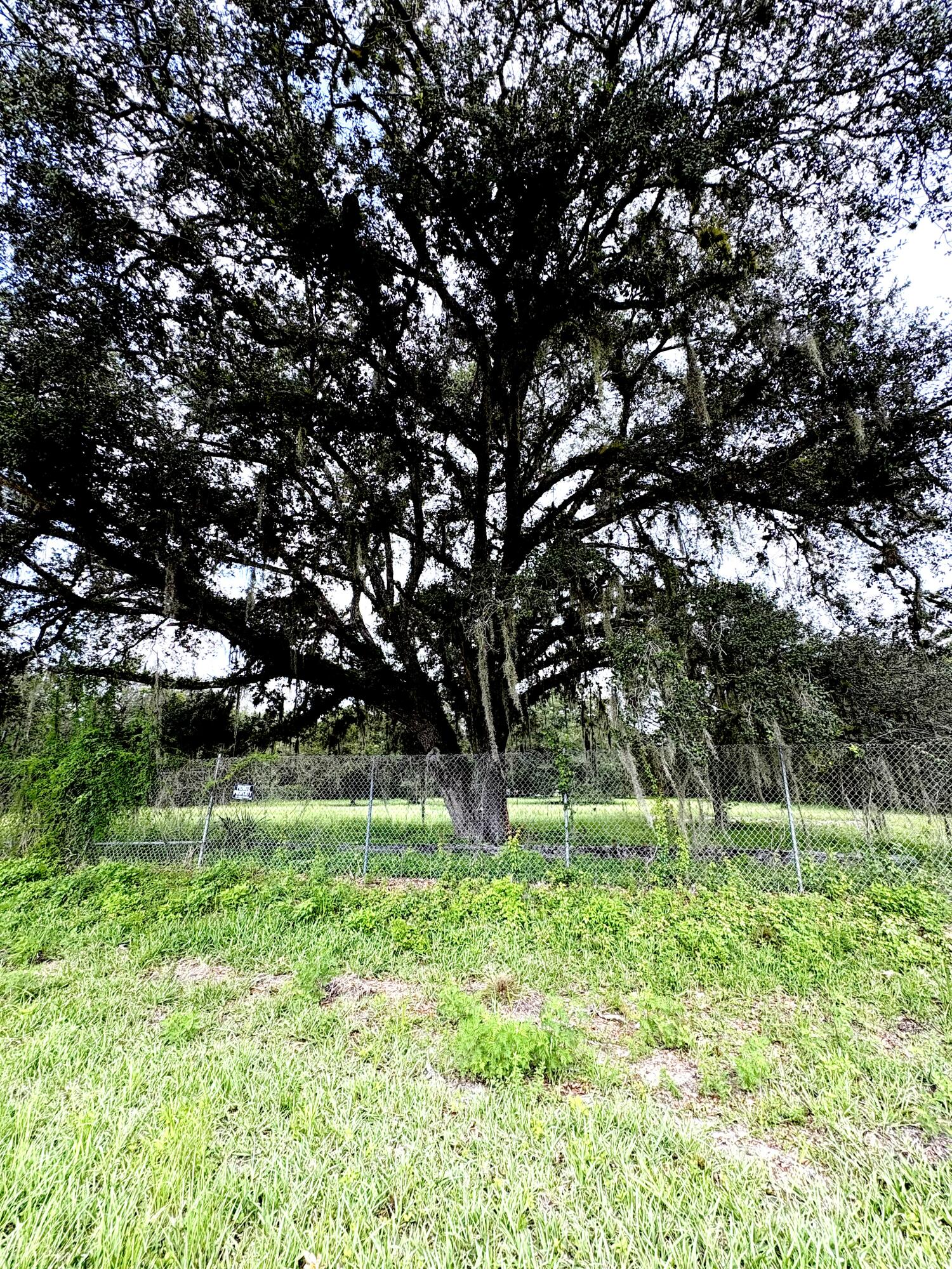450 S Jinete Street Property Photo 1