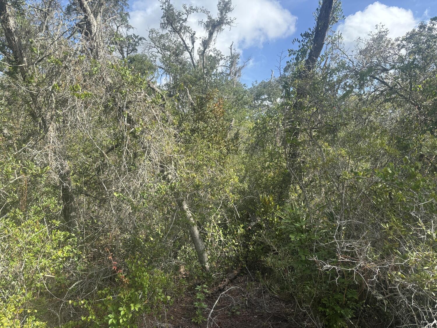 336 Stardust Avenue Property Photo 2