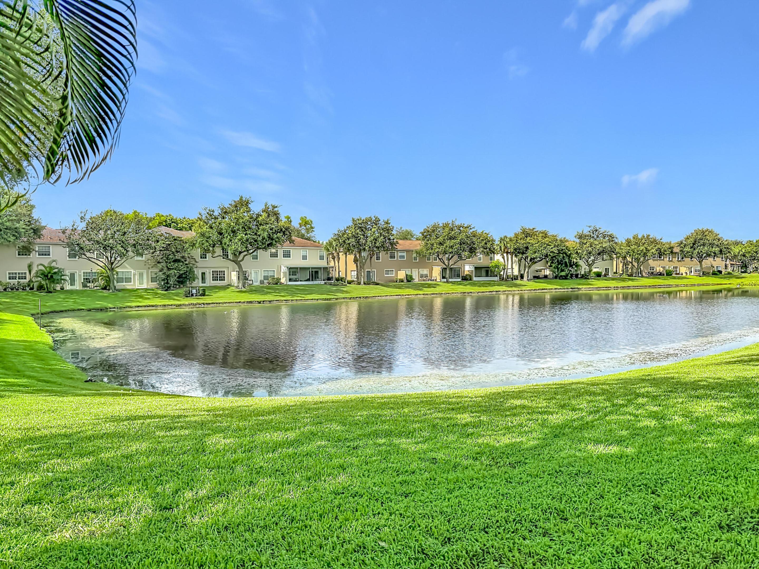 4106 Windmill Palm Way Property Photo 50