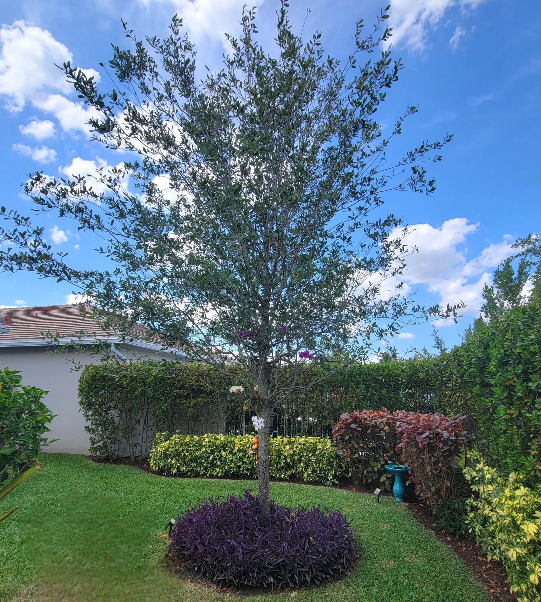 5324 Star Rush Lane Property Photo 38