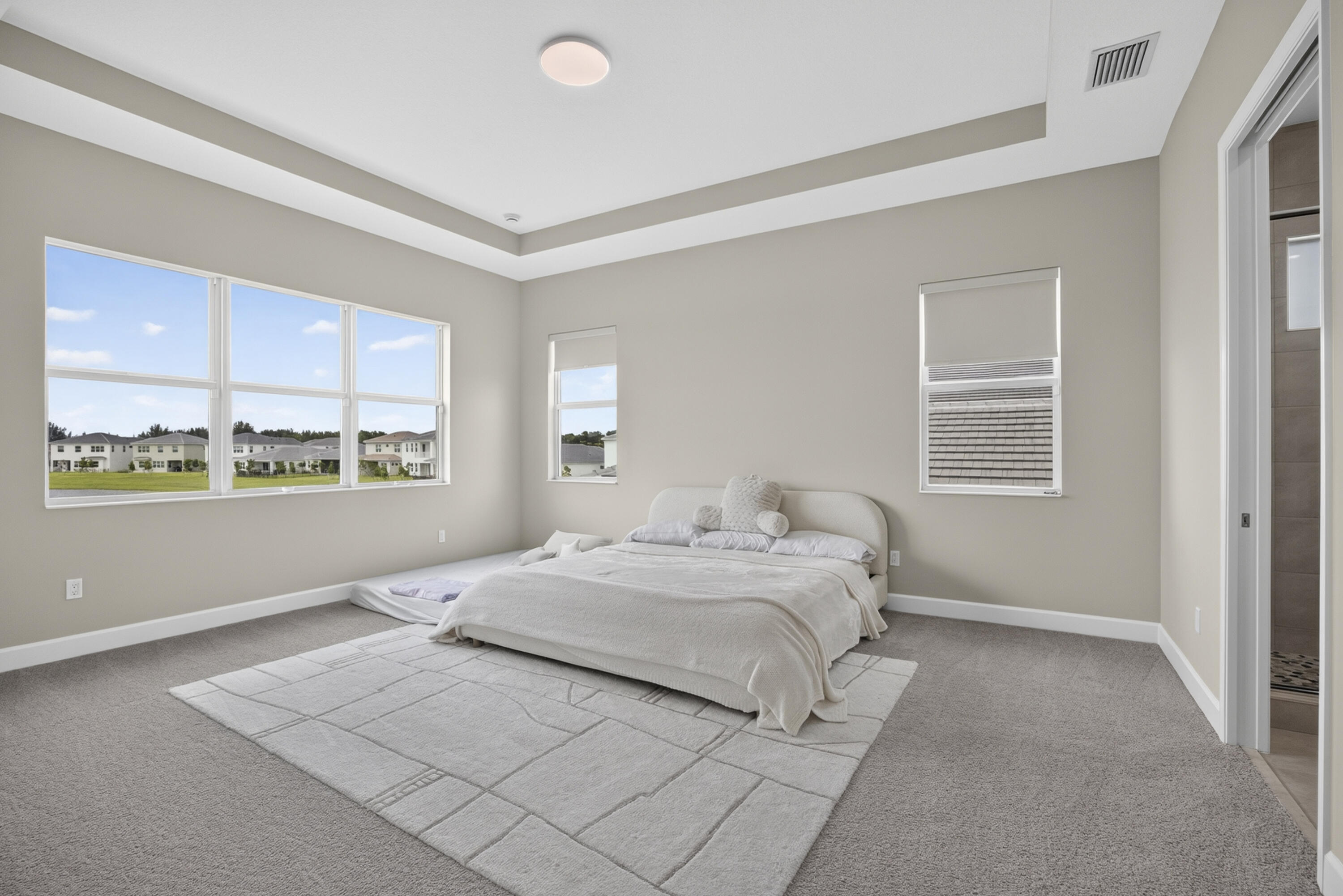 13802 Prickly Cone Cove Property Photo 14