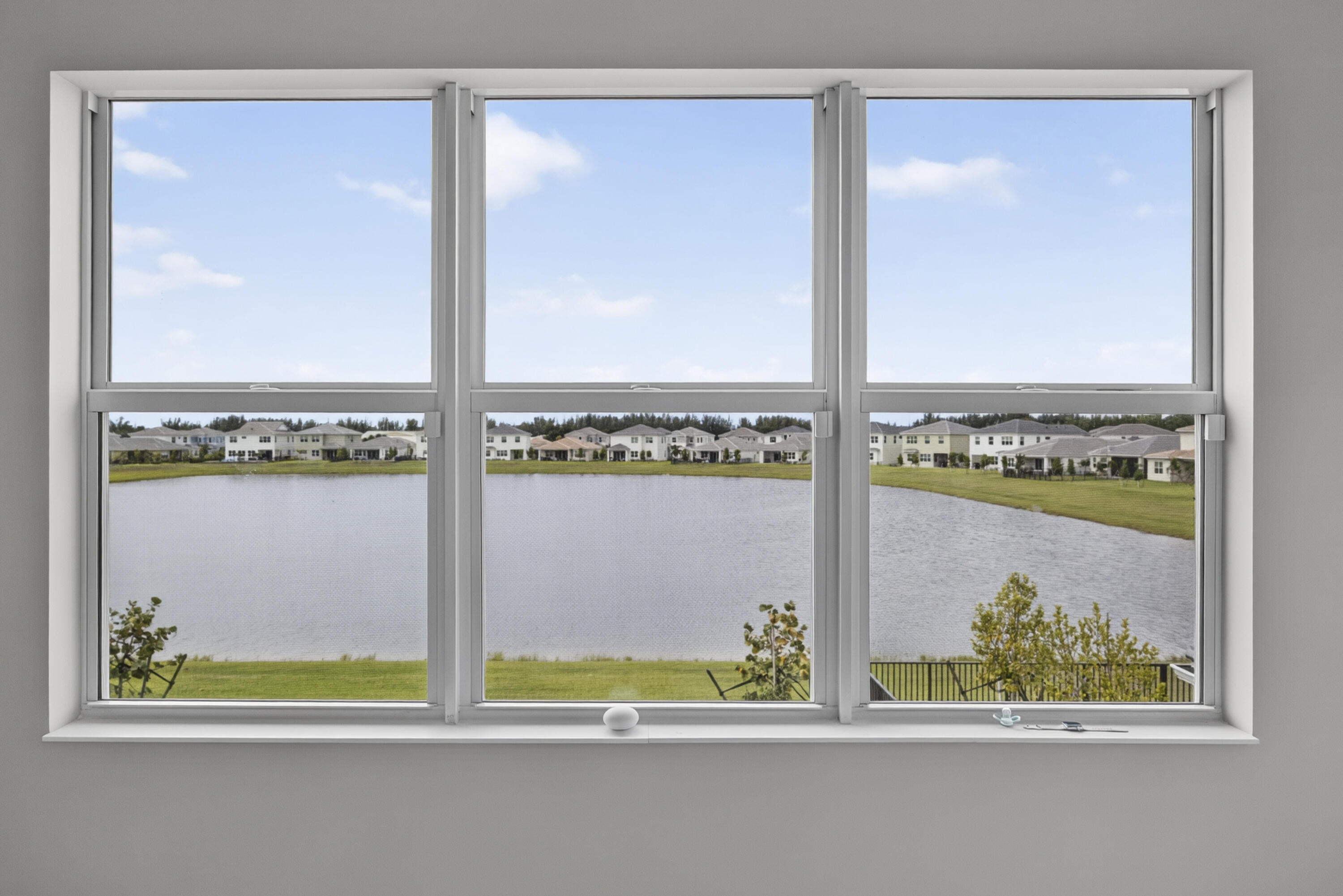 13802 Prickly Cone Cove Property Photo 15