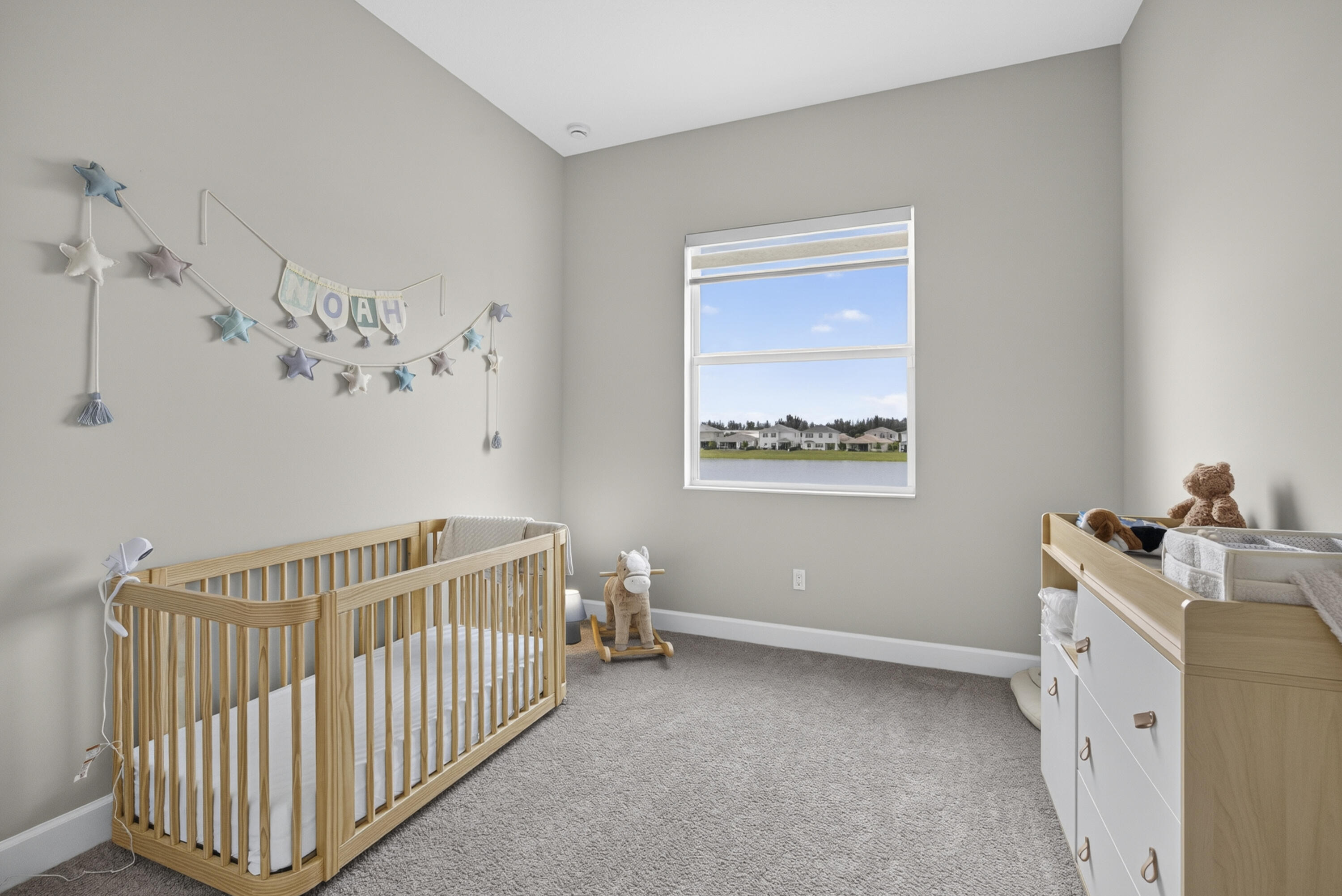 13802 Prickly Cone Cove Property Photo 19