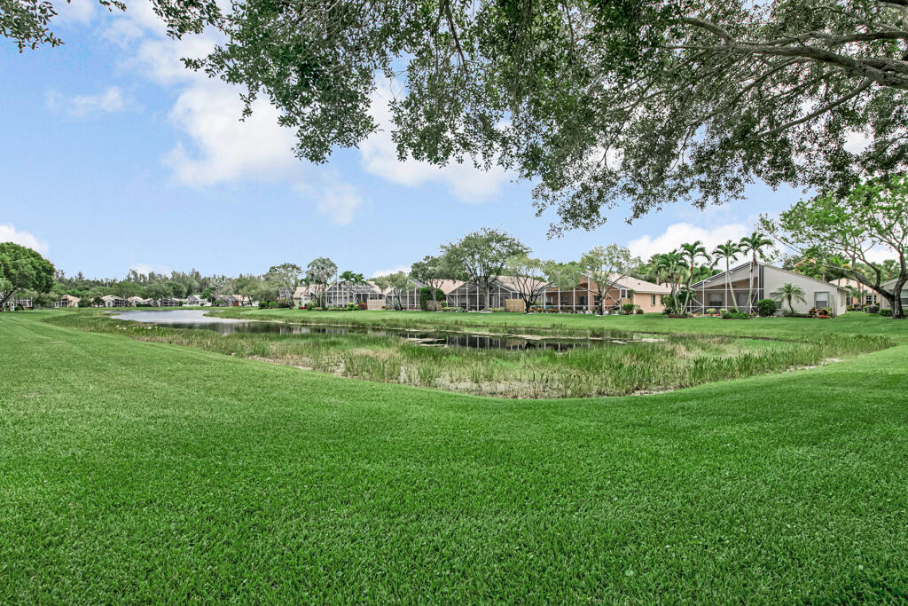 8184 Florenza Drive Property Photo 46