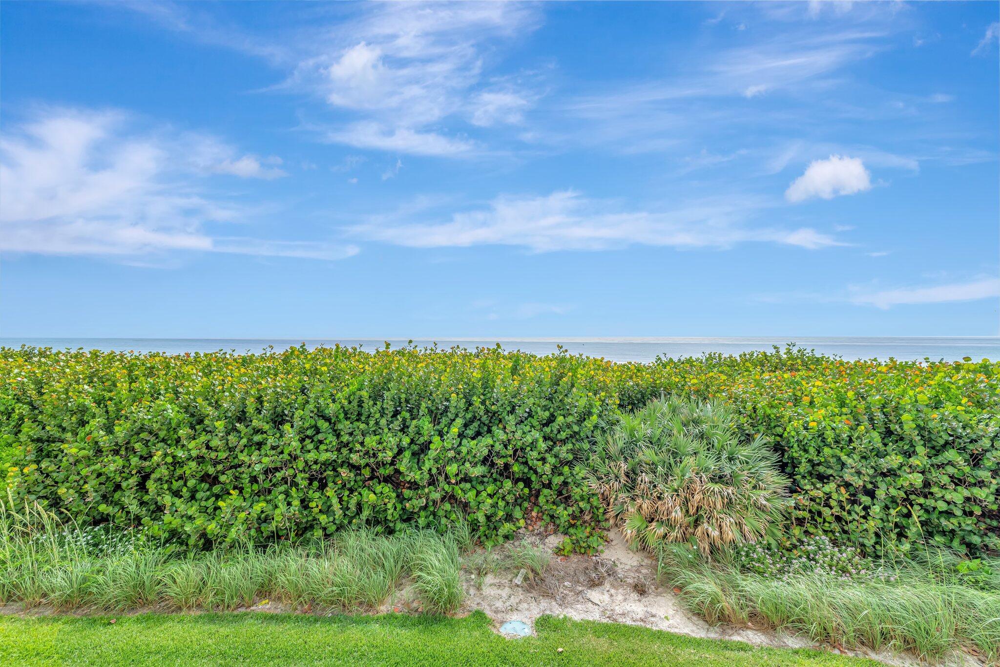 7420 S Ocean Drive 215 Property Photo 25