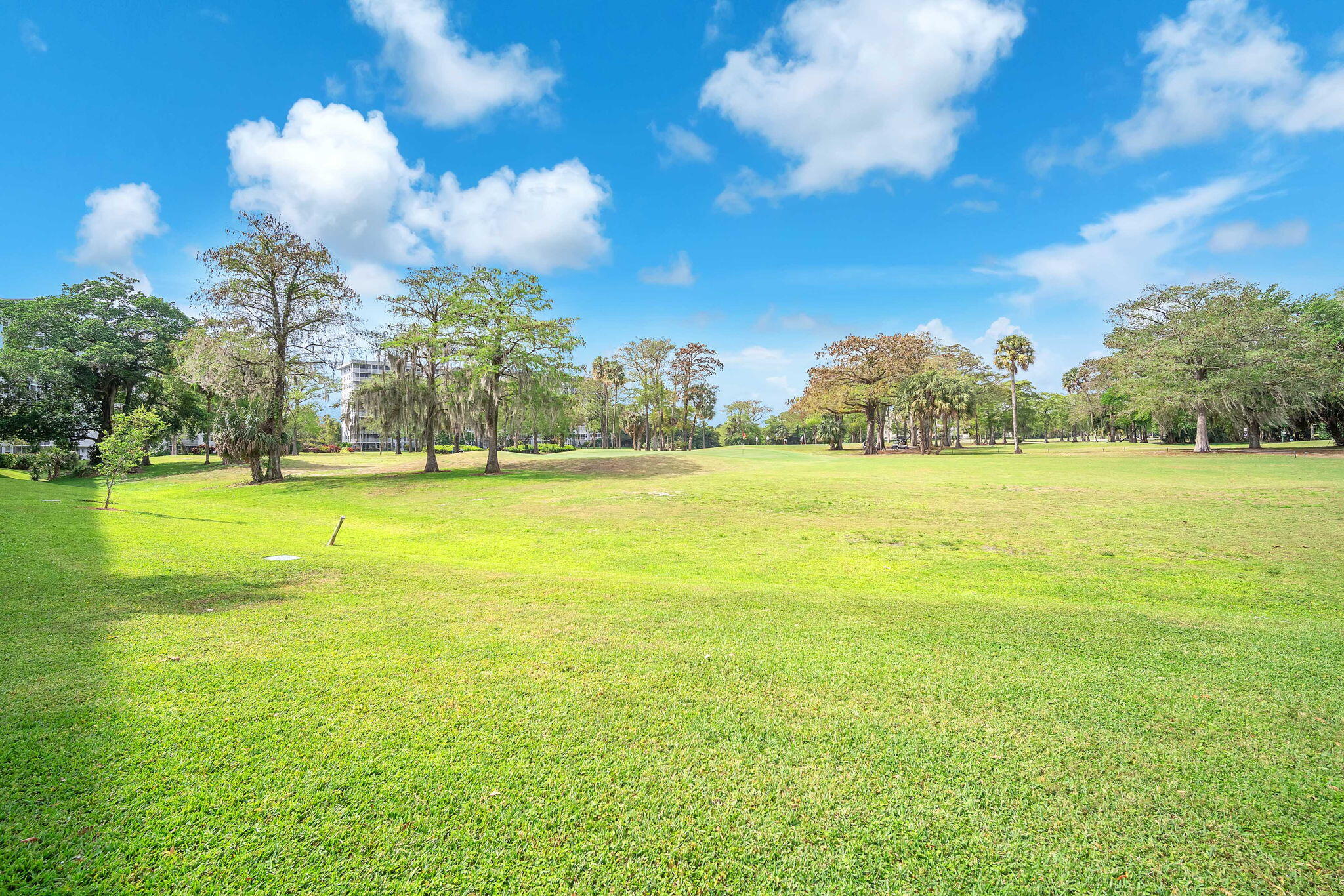 3001 S Course Drive 406 Property Photo 46