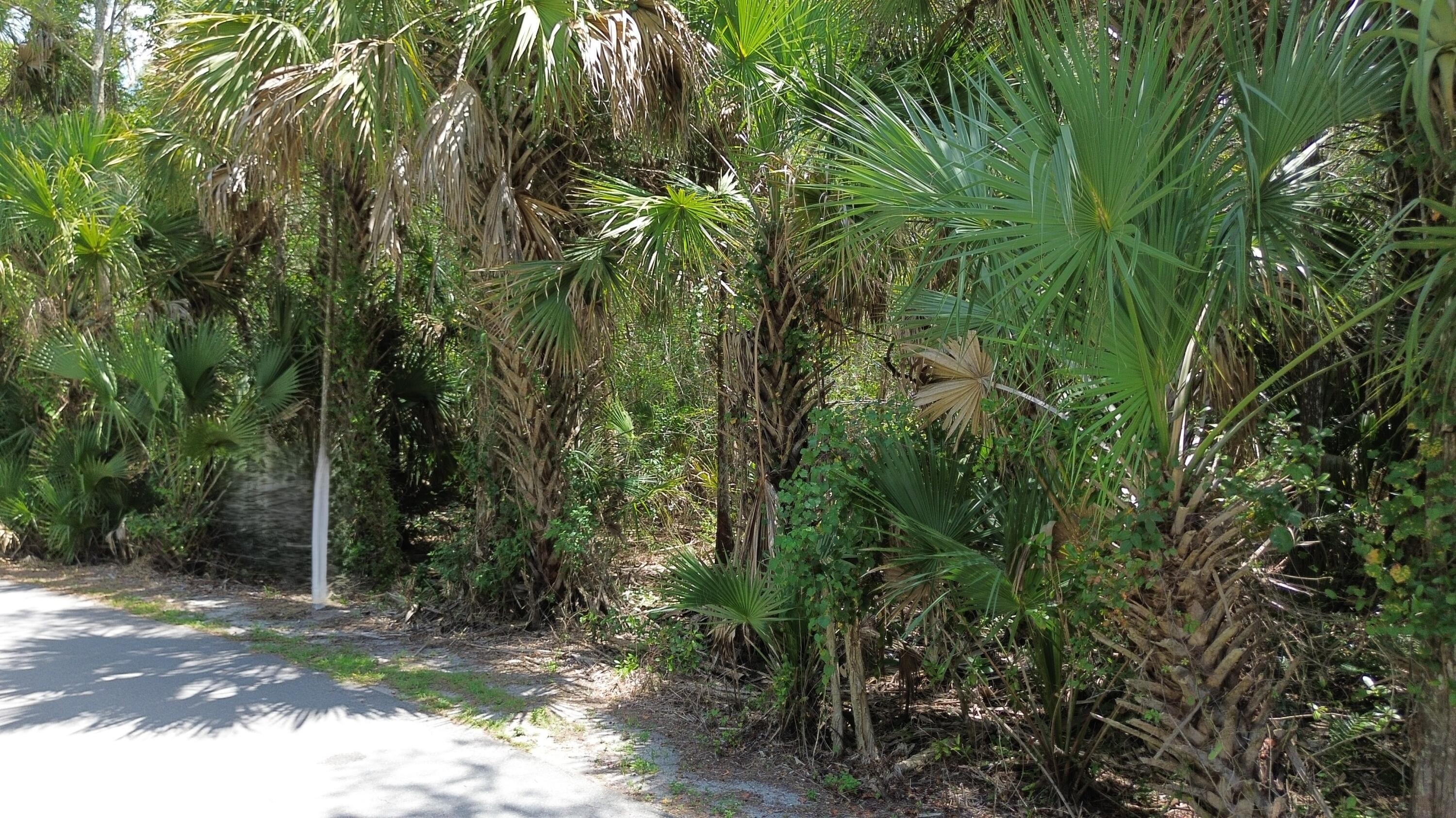 2256 Fawn Drive Property Photo 1