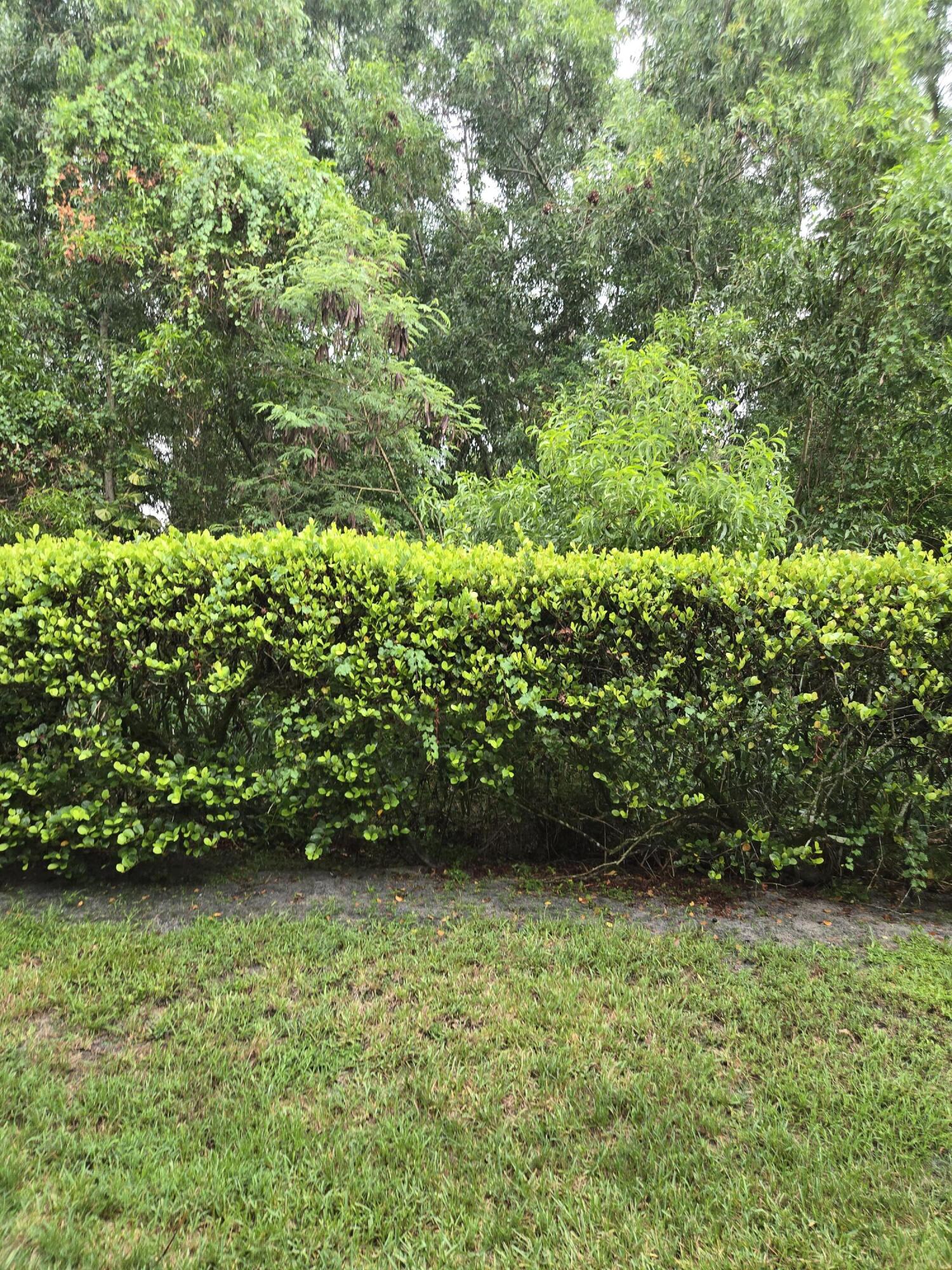 4675 Palmbrooke Circle Property Photo 11