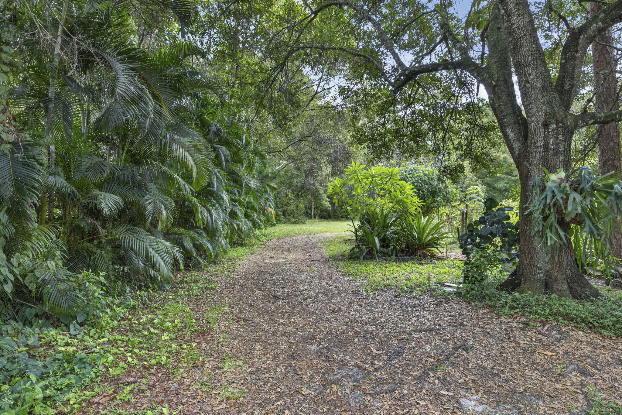 15182 Steffen Lane Property Photo 37