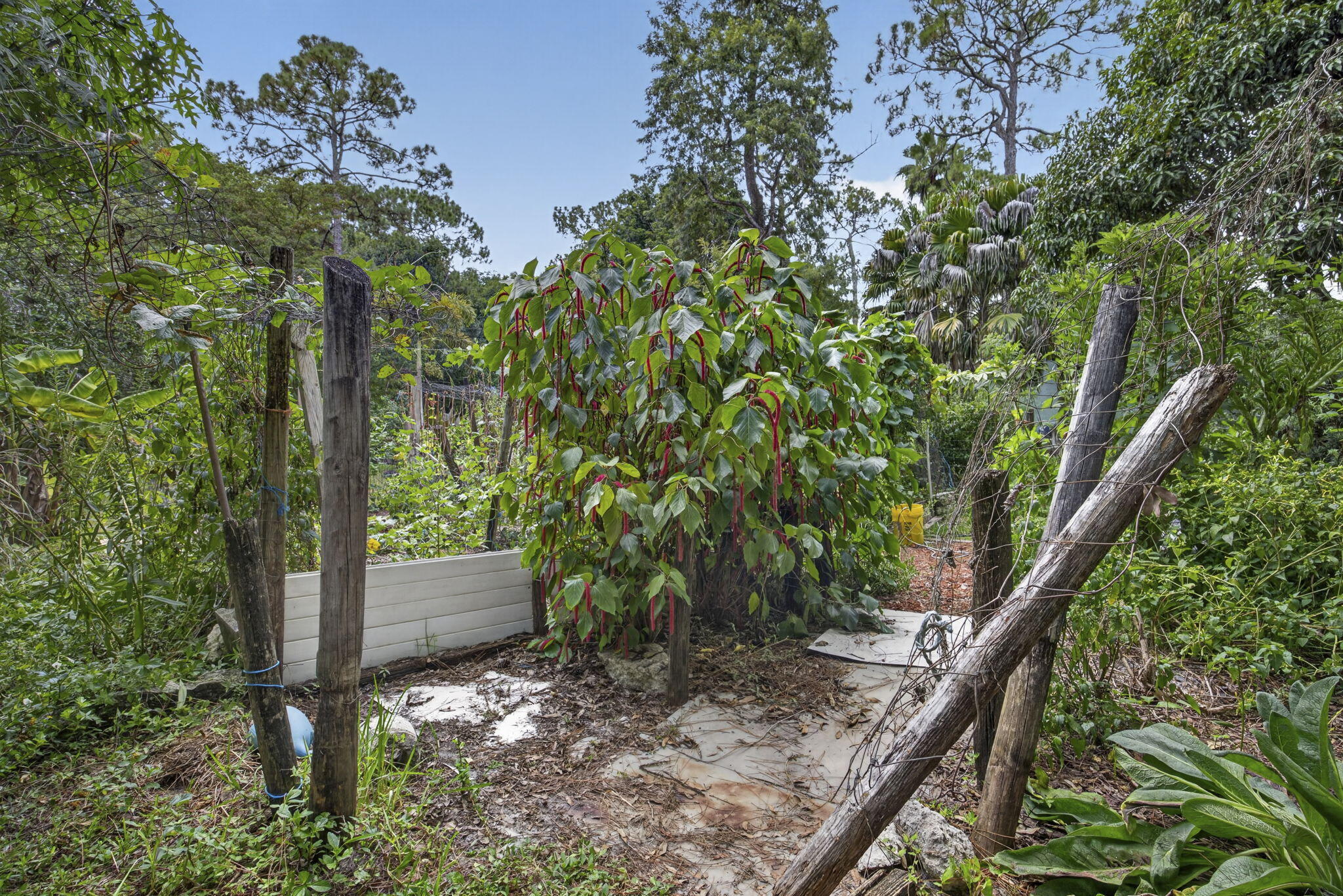 15182 Steffen Lane Property Photo 39