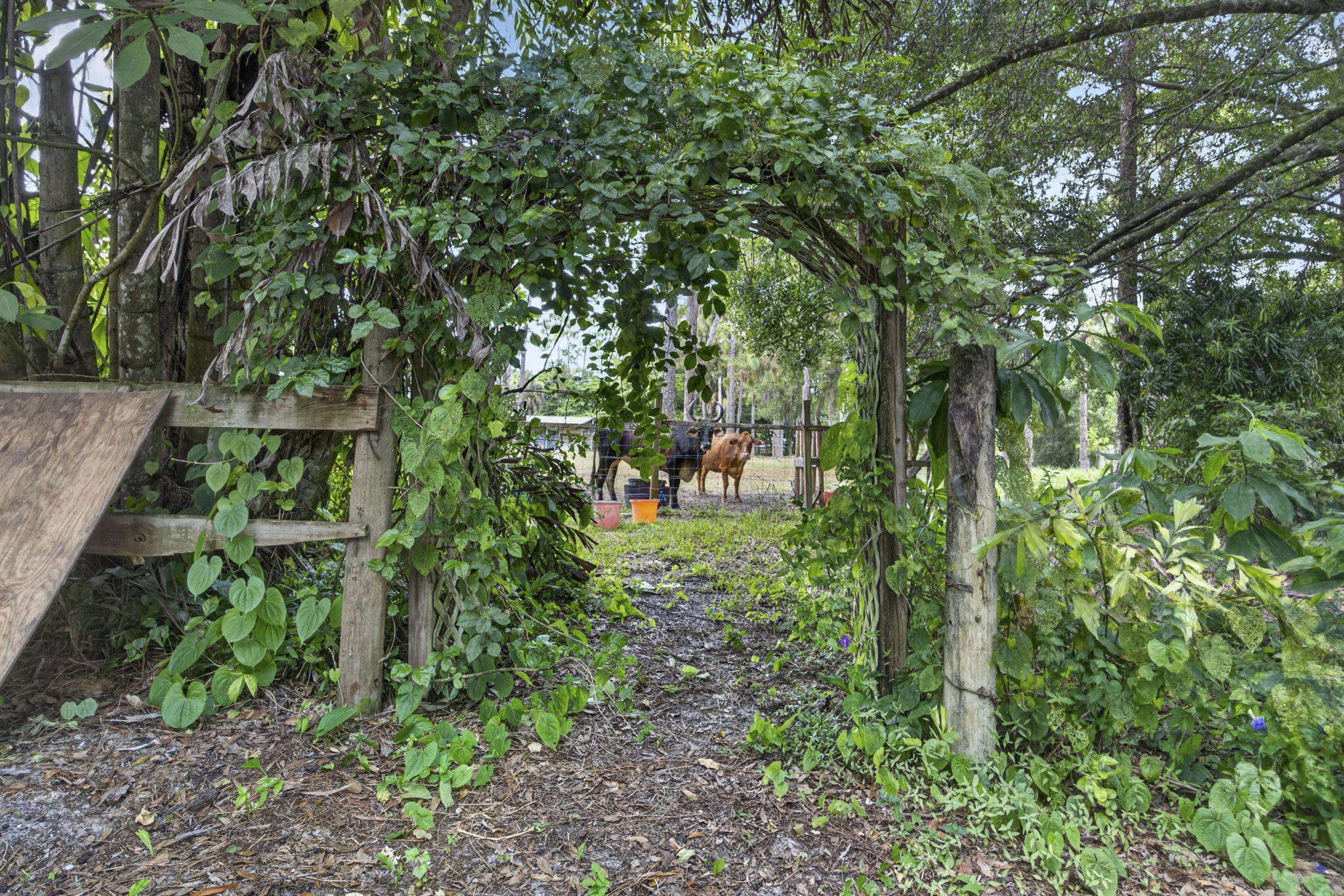 15182 Steffen Lane Property Photo 43