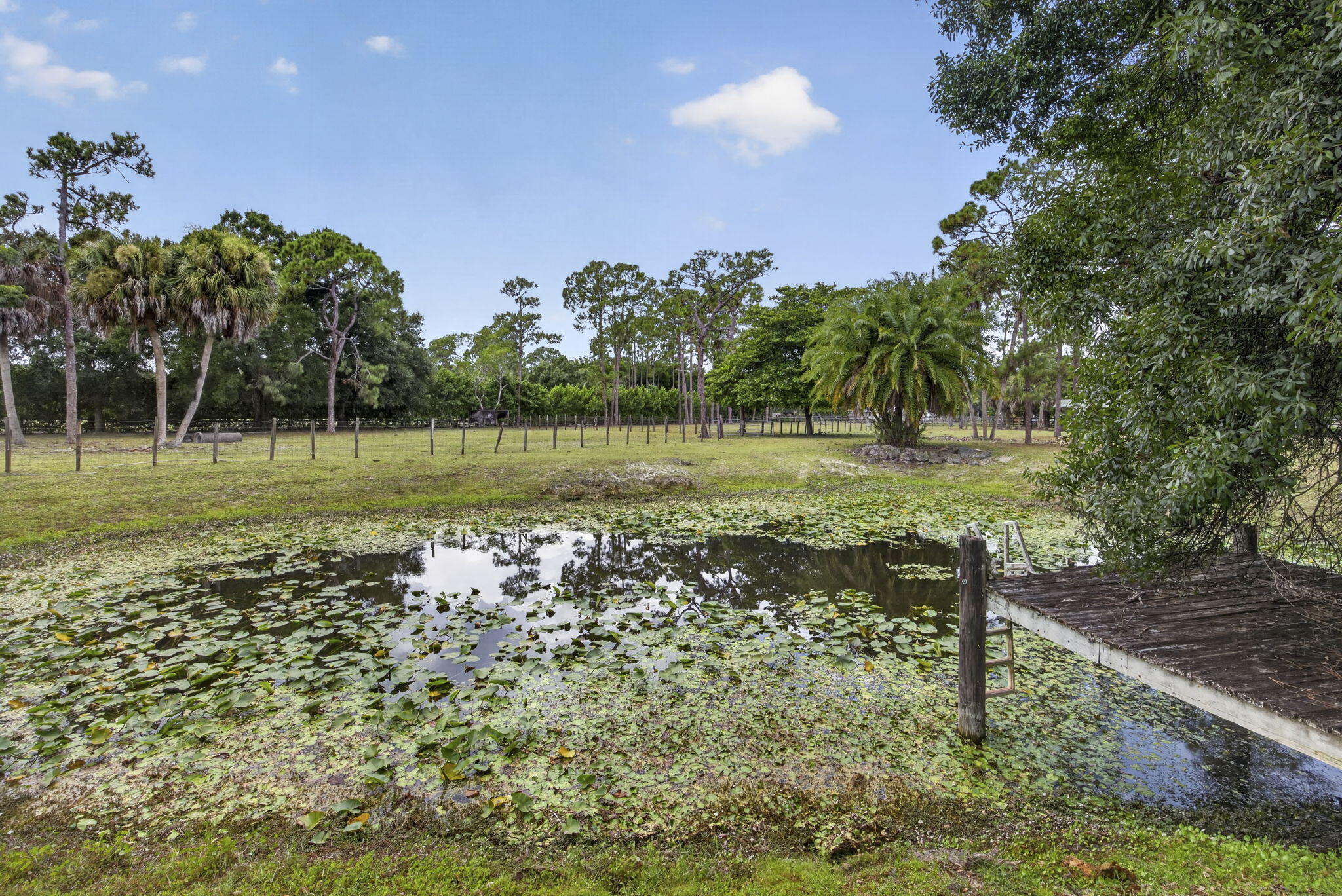 15182 Steffen Lane Property Photo 48
