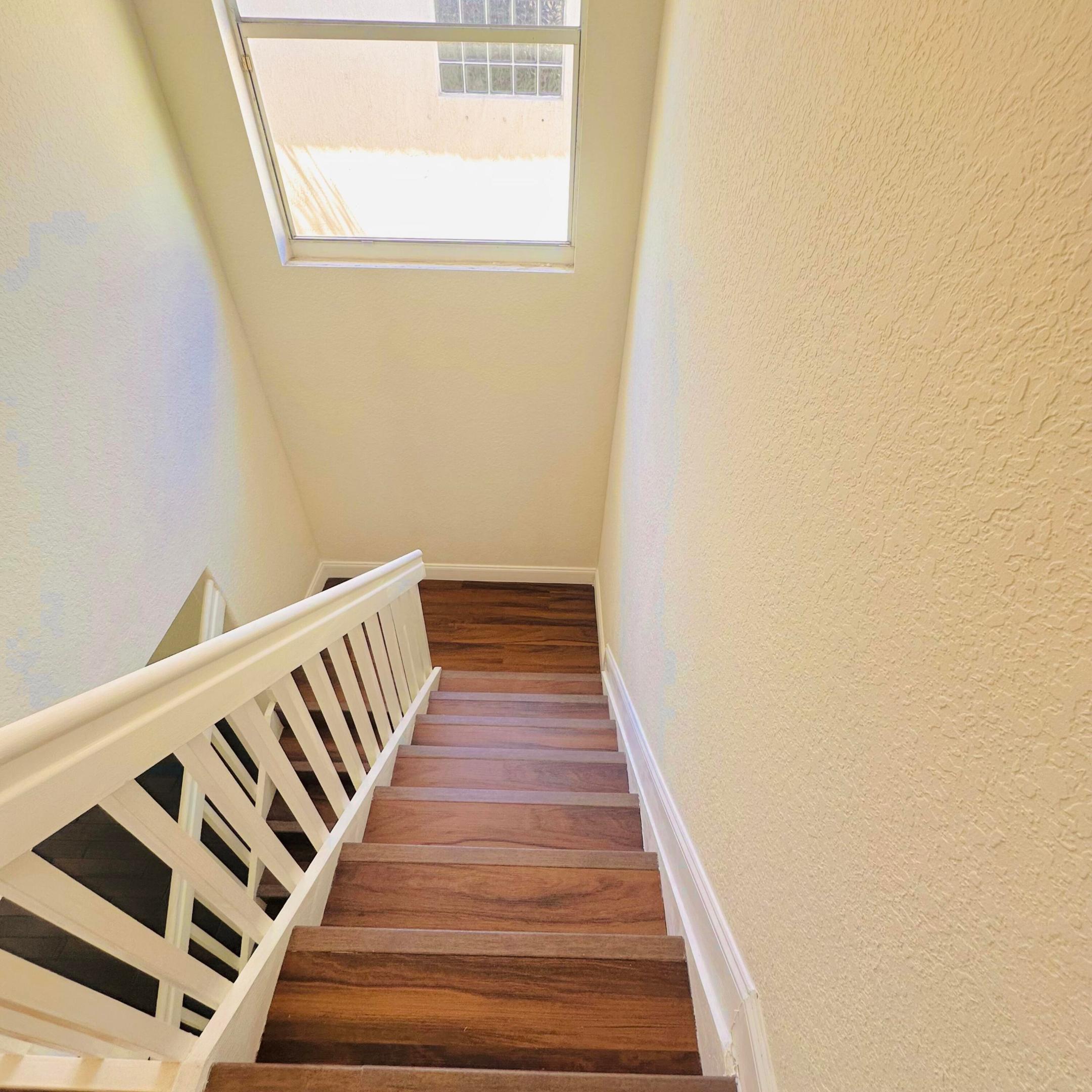 4147 Meade Way Property Photo 19