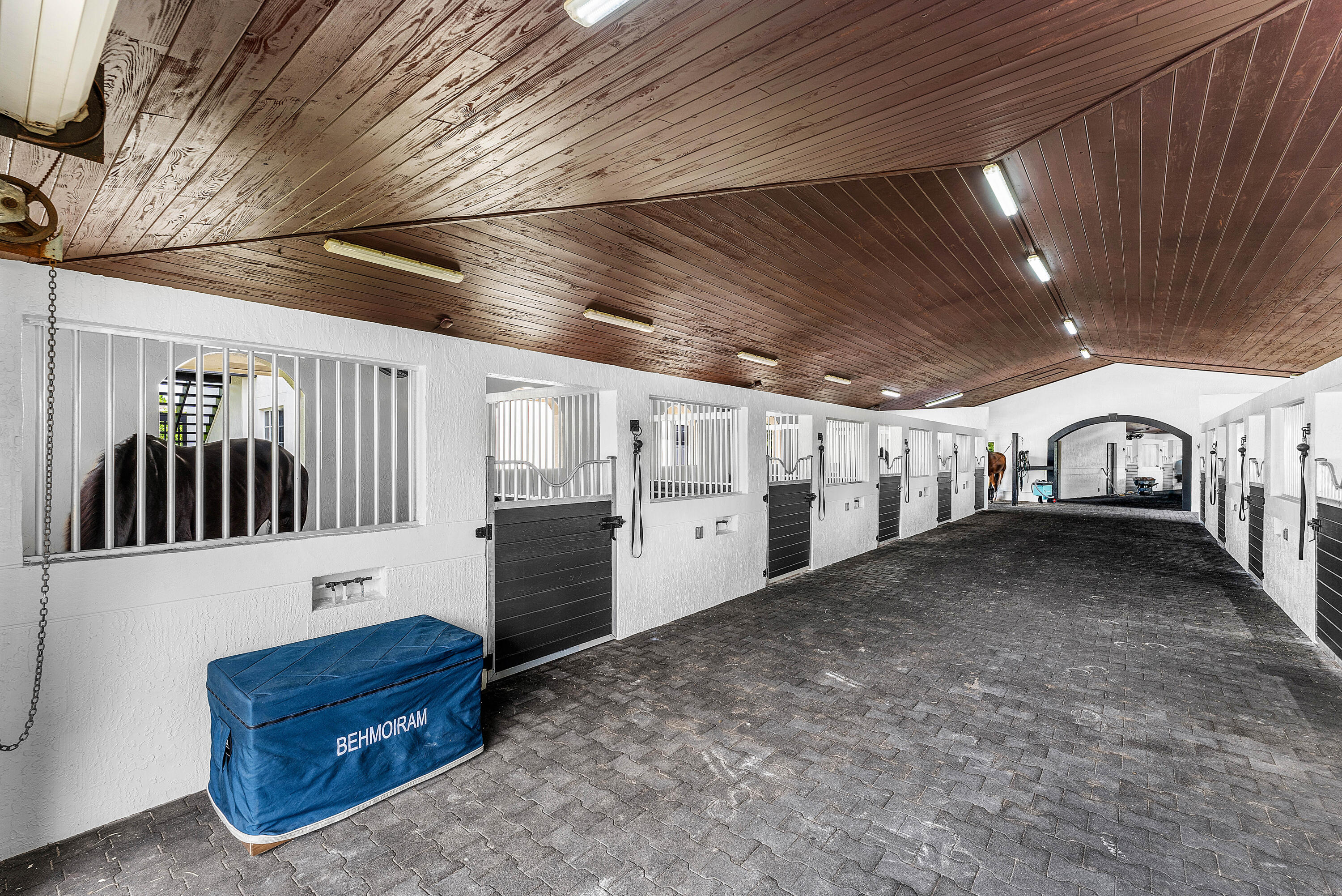 14155 Equestrian Way Property Photo 24