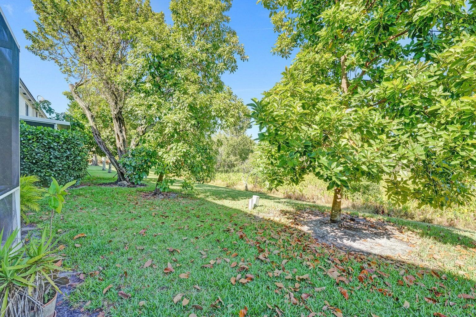21193 Vía Eden Property Photo 19