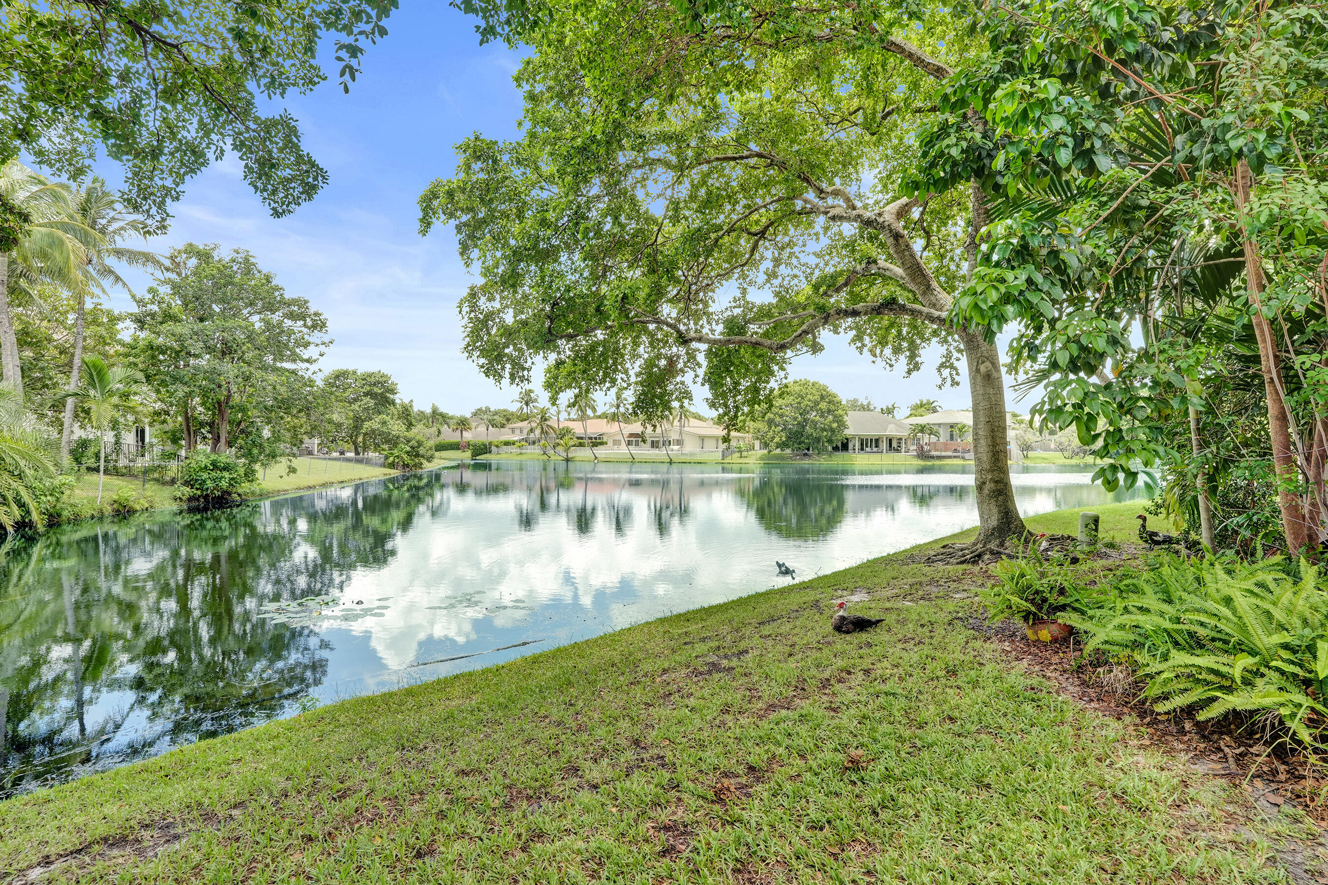 731 E Coco Plum Circle 4 Property Photo 50