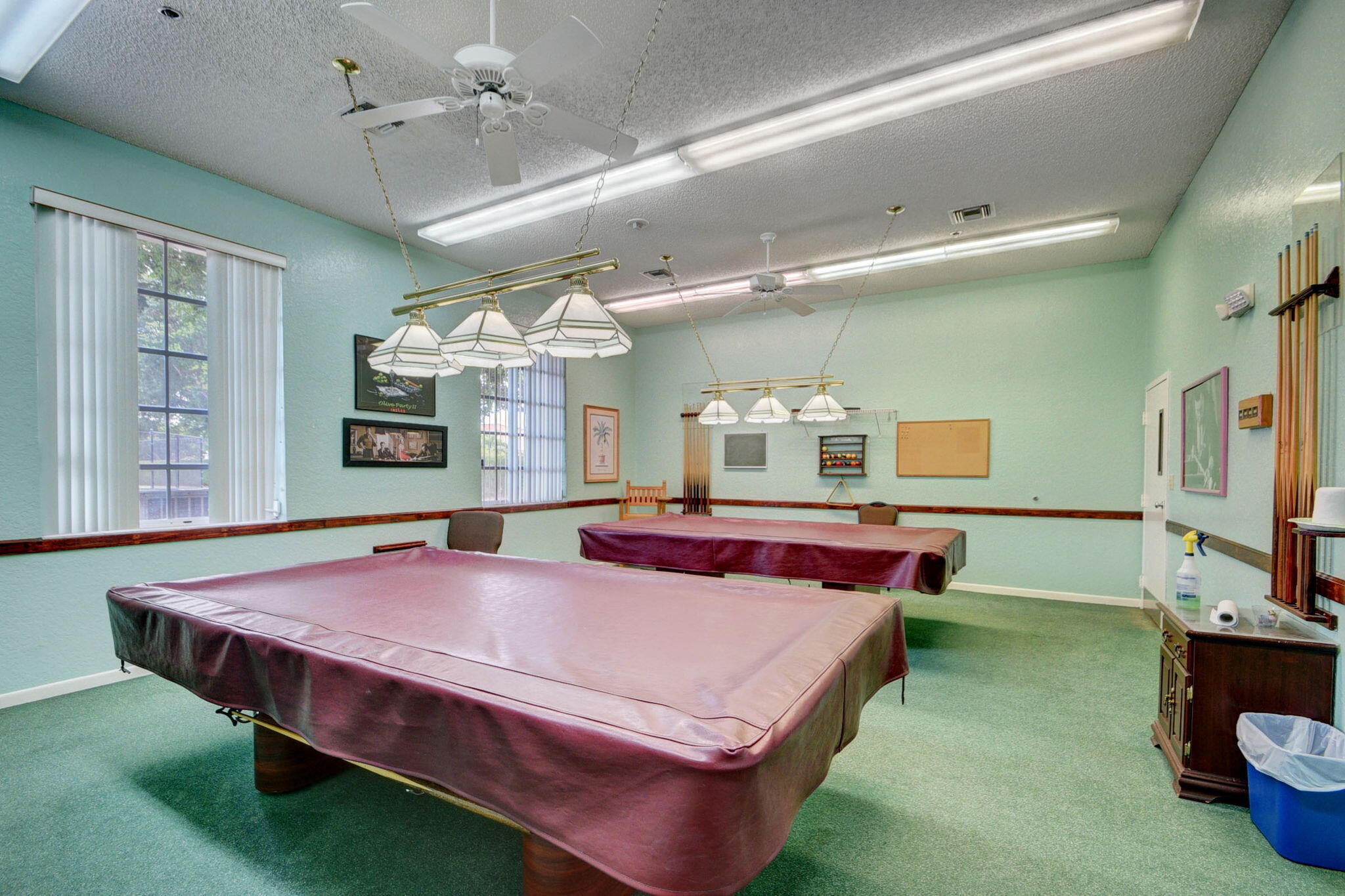 3952 Summer Chase Court Property Photo 45