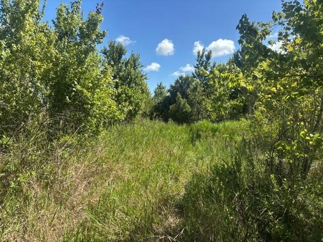 0 Nw 312th Street Property Photo 2