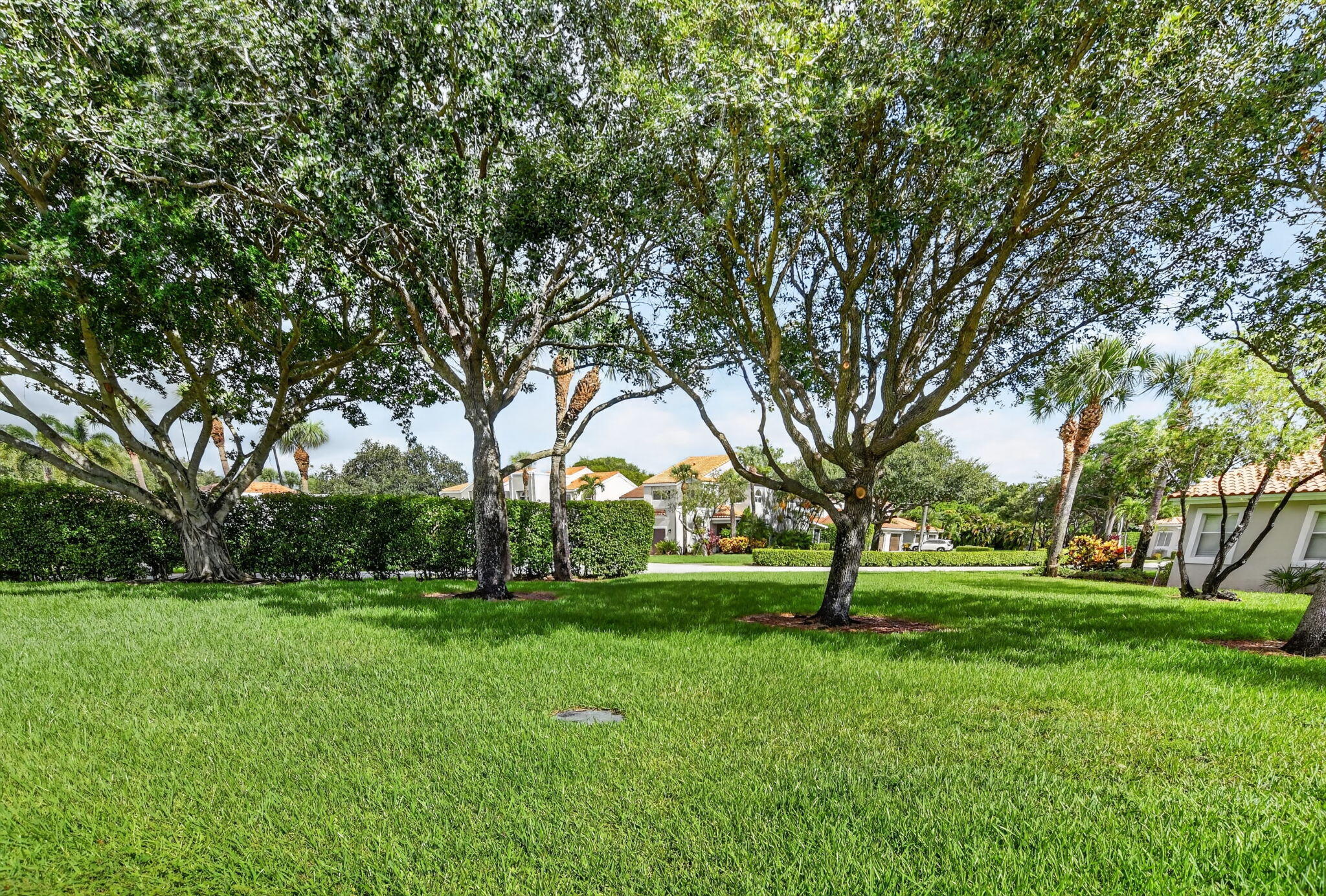 10410 Plaza Centro Property Photo 22