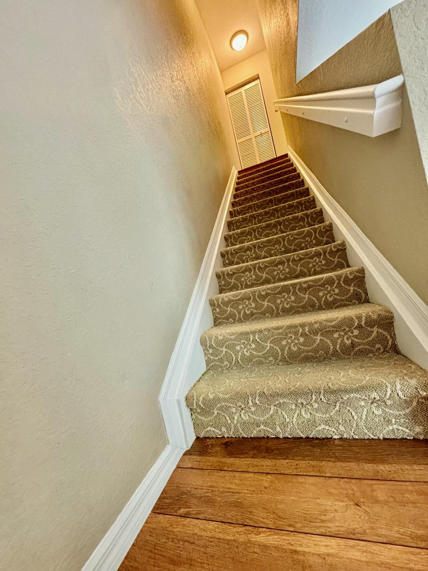 22162 Majestic Woods Way Property Photo 12