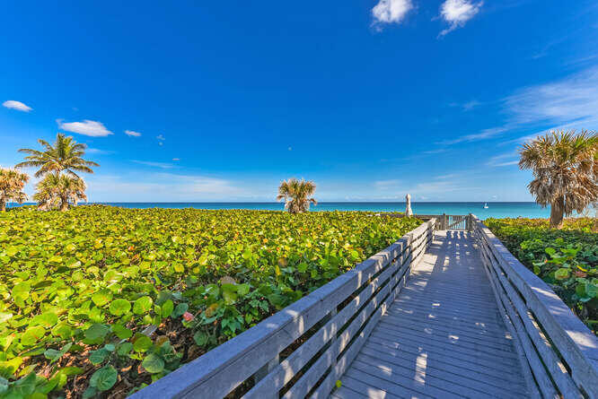 420 Celestial Way 101 Property Photo 6