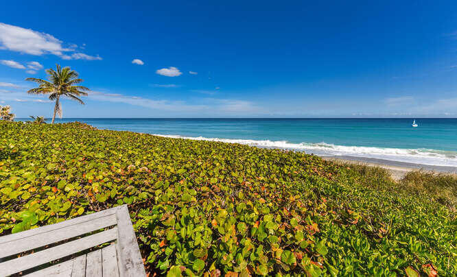 420 Celestial Way 101 Property Photo 8