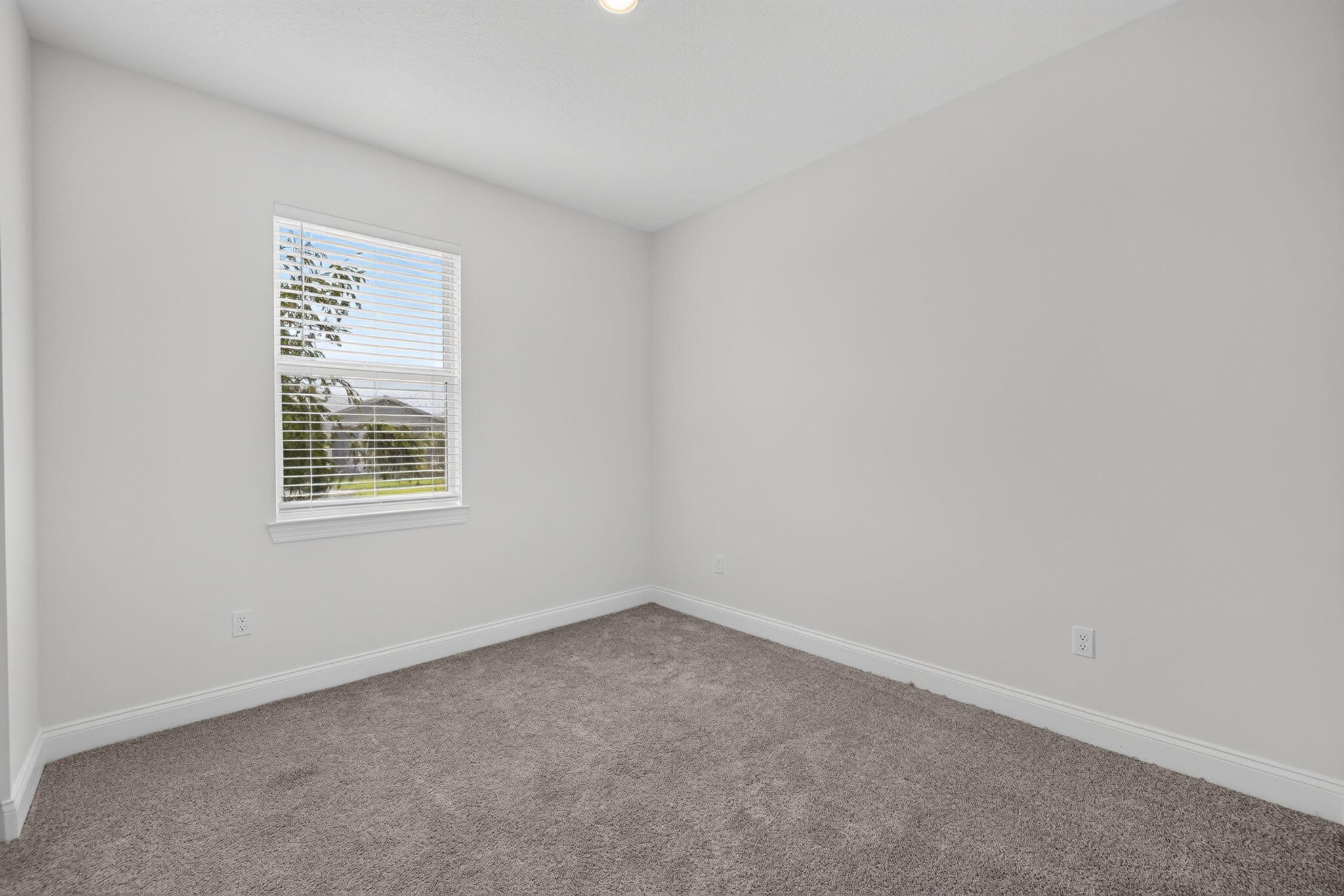 8666 Dahlia Circle Property Photo 6