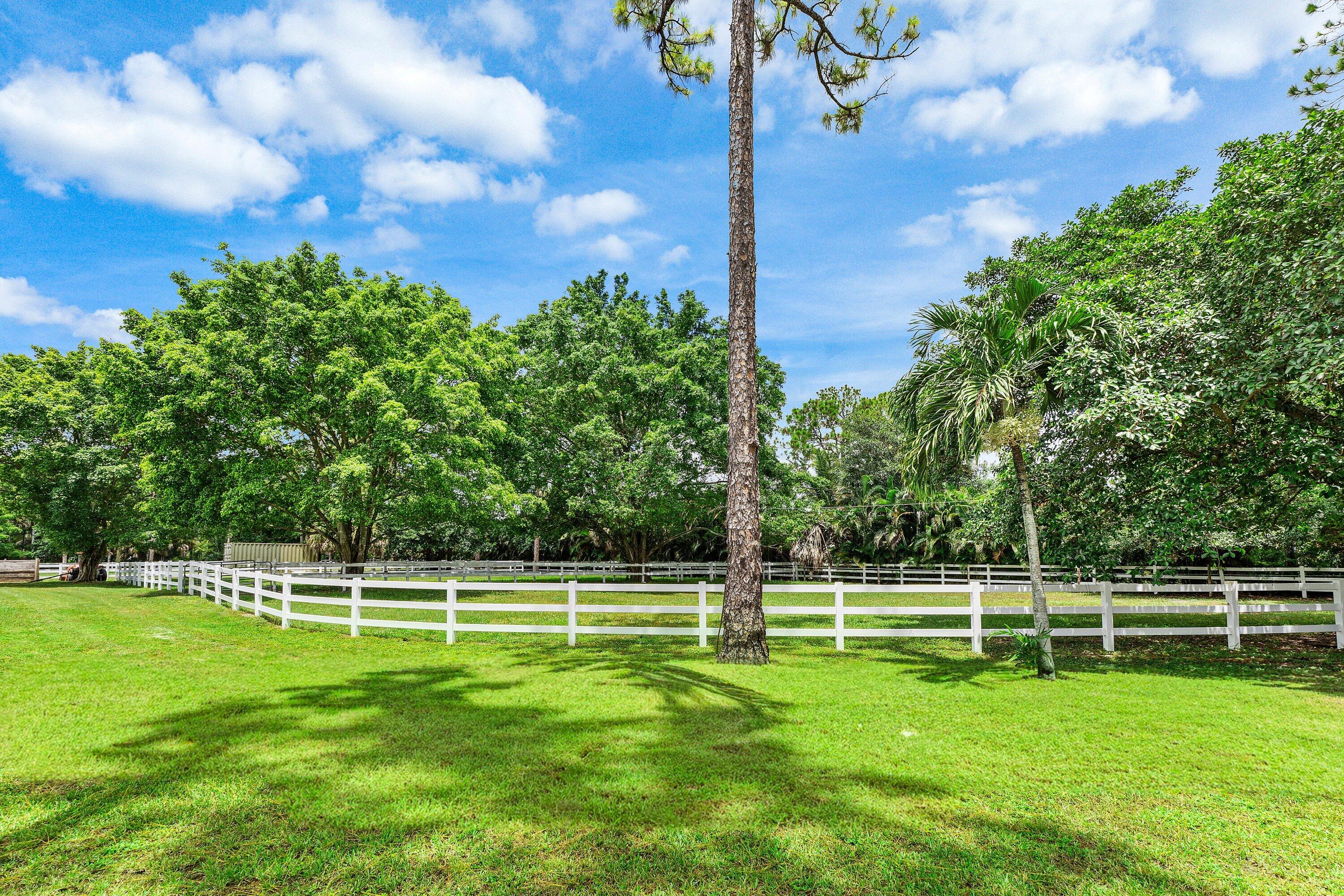 2749 A Road Property Photo 47