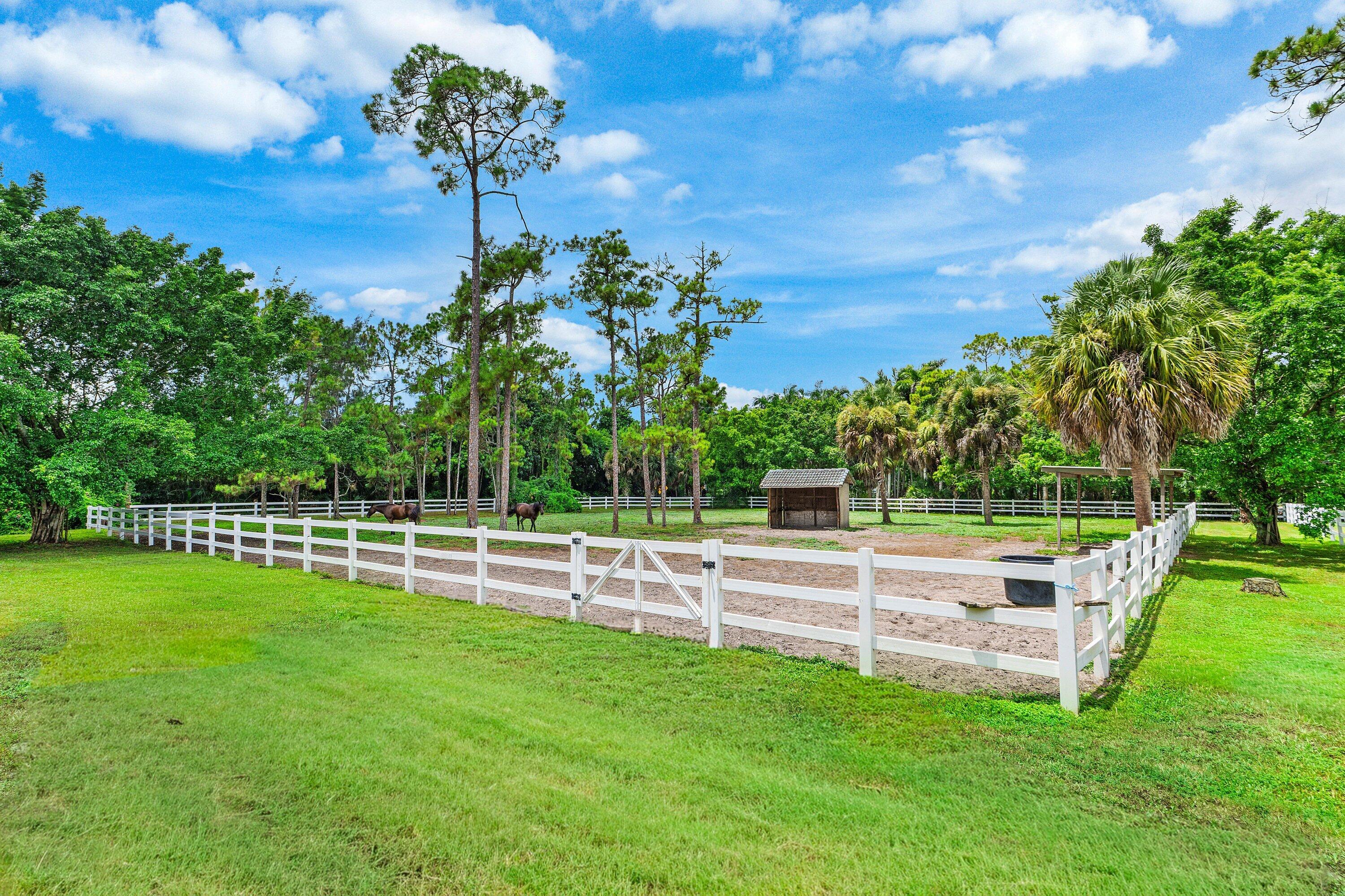2749 A Road Property Photo 53