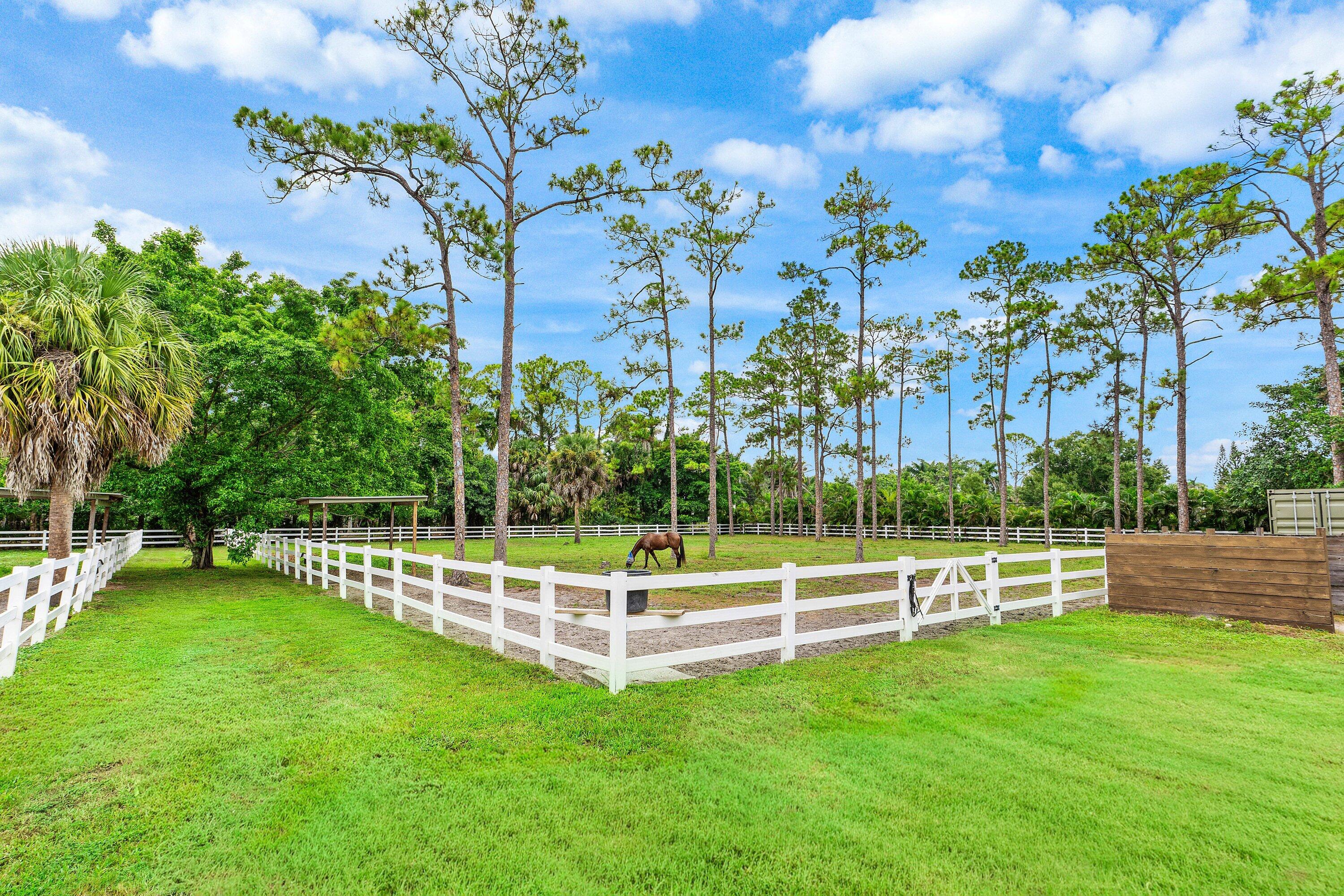 2749 A Road Property Photo 54