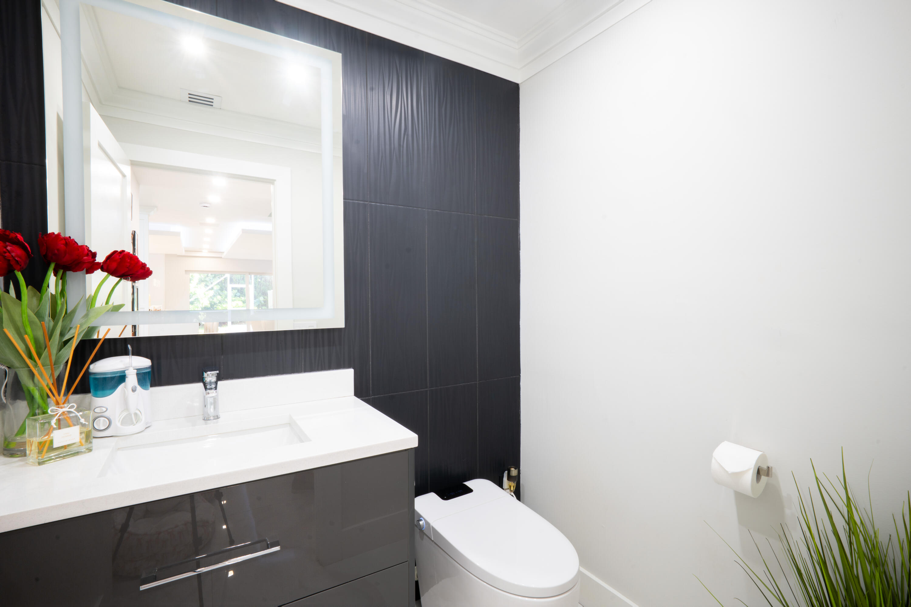 10438 Buena Ventura Drive Property Photo 18