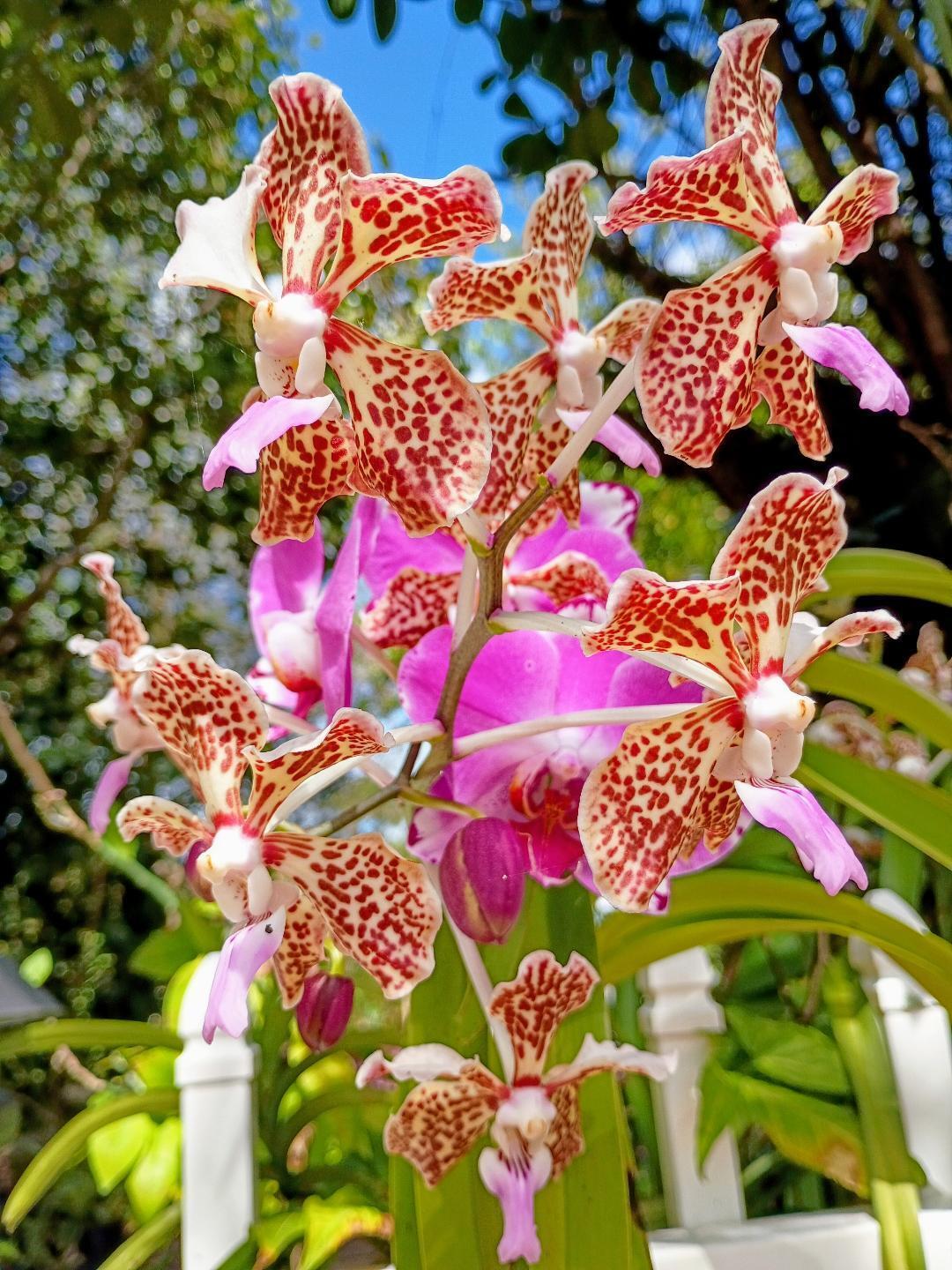 B26064088 Property Photo 34