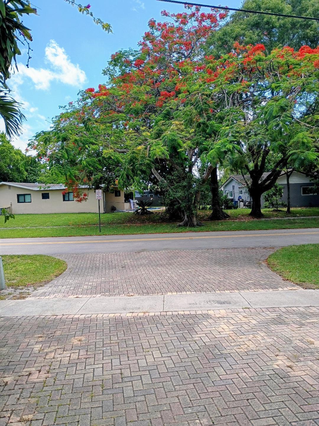 B26064088 Property Photo 41