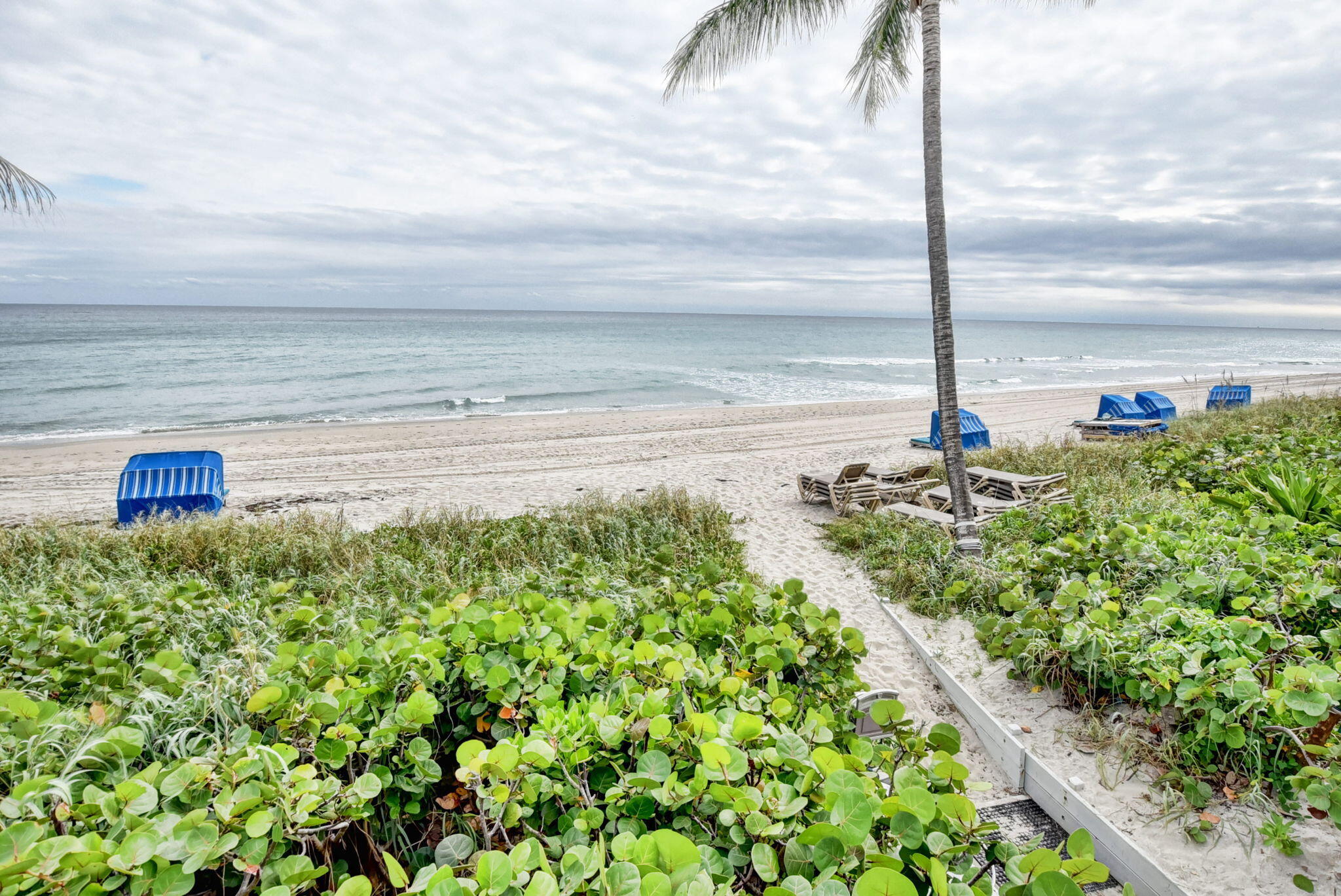 2917 S Ocean Boulevard 401 Property Photo 6