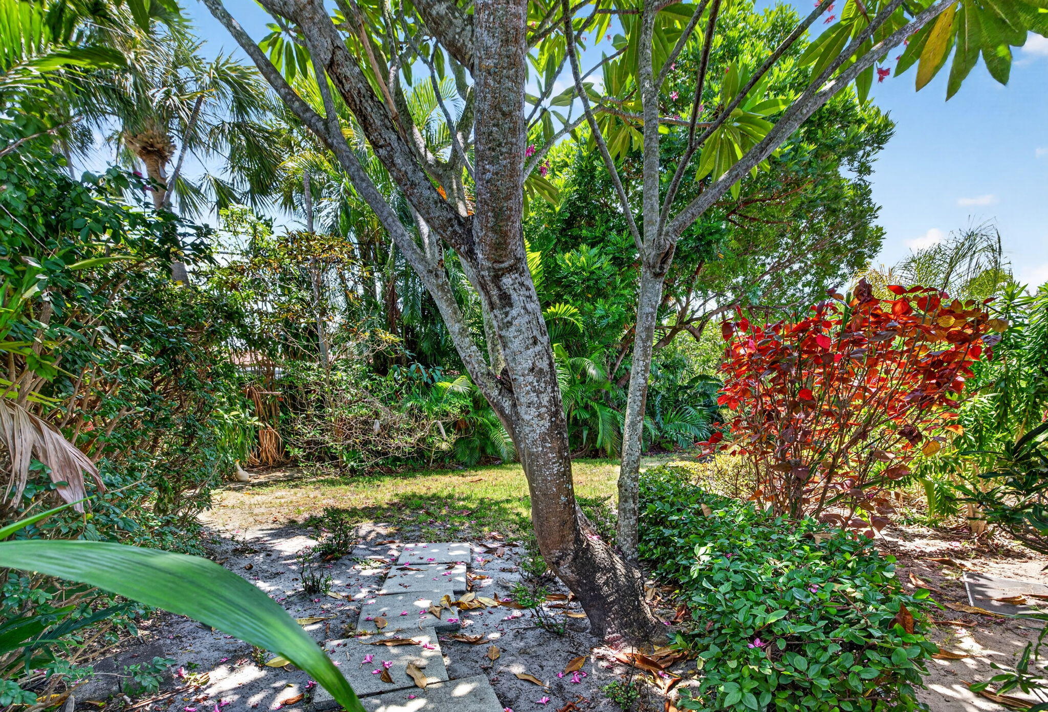 1858 Ne 34th Street Property Photo 47