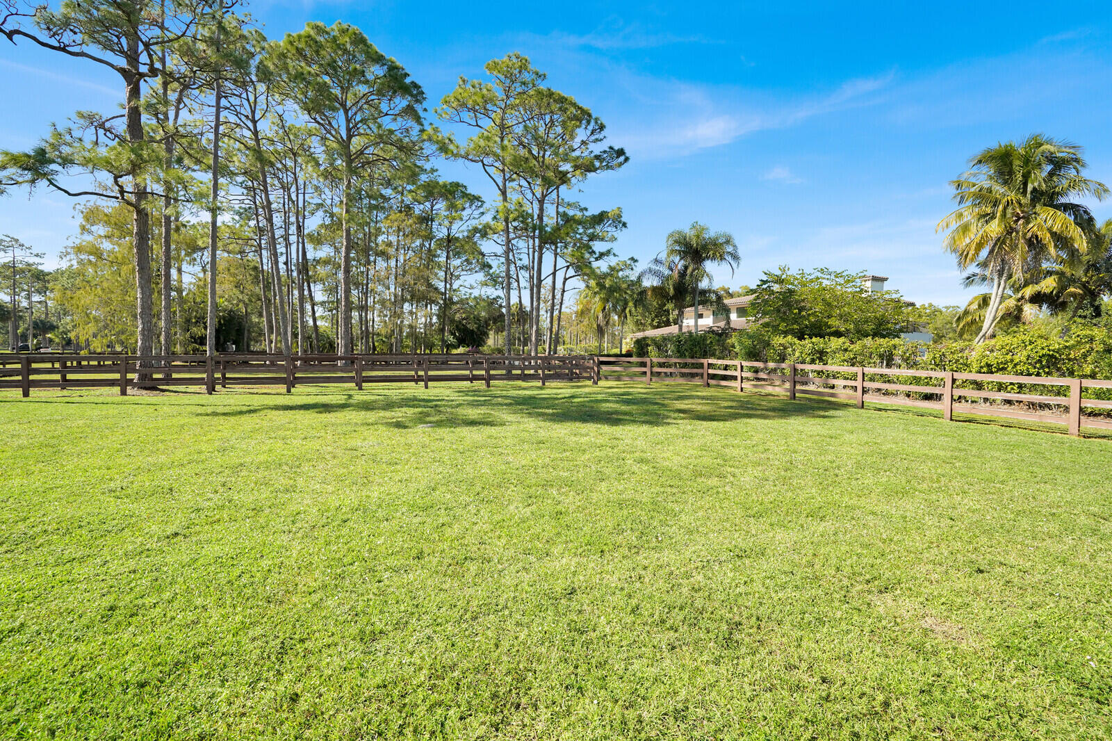 11231 Ira Lane Property Photo 5