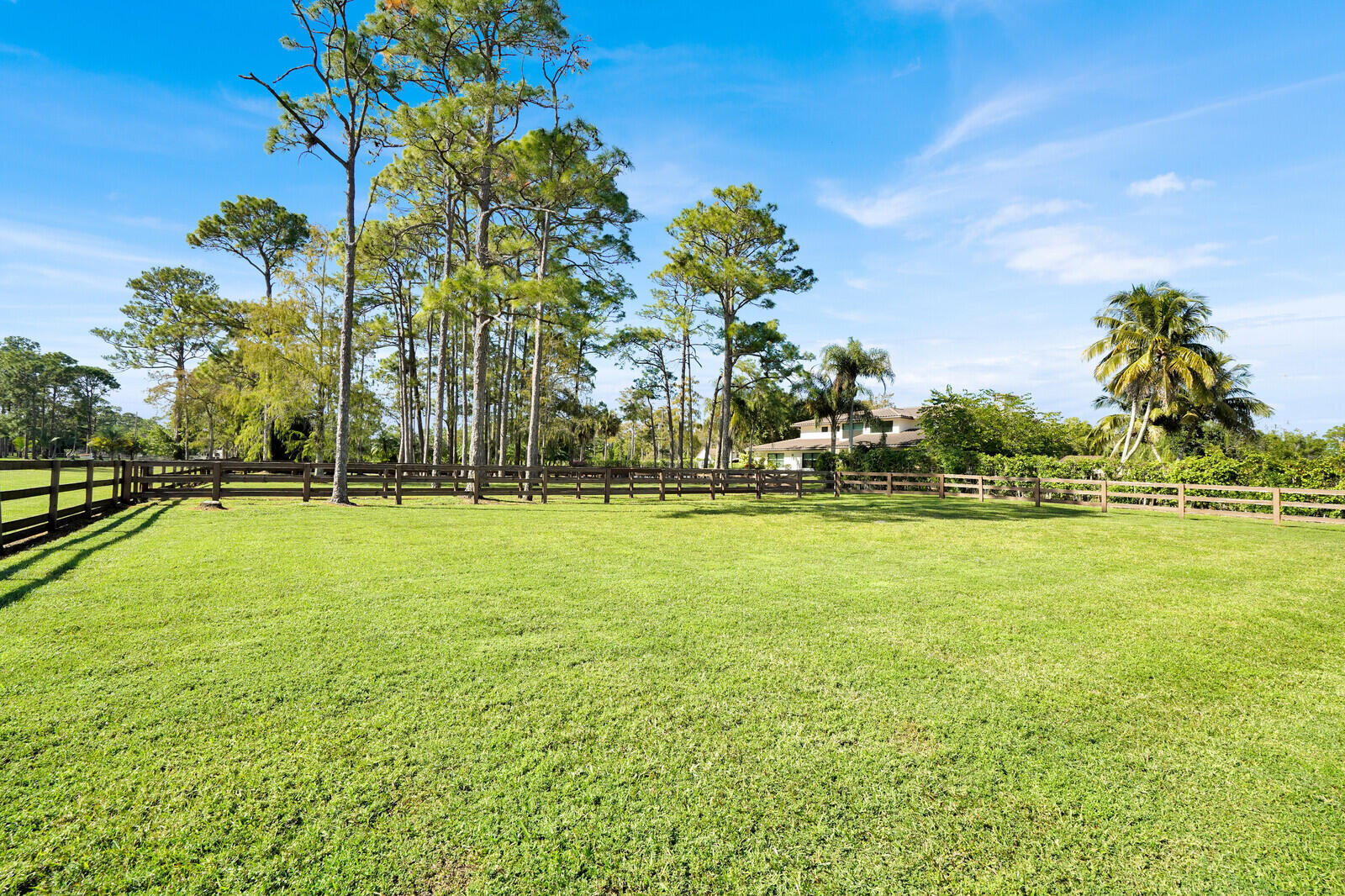 11231 Ira Lane Property Photo 7