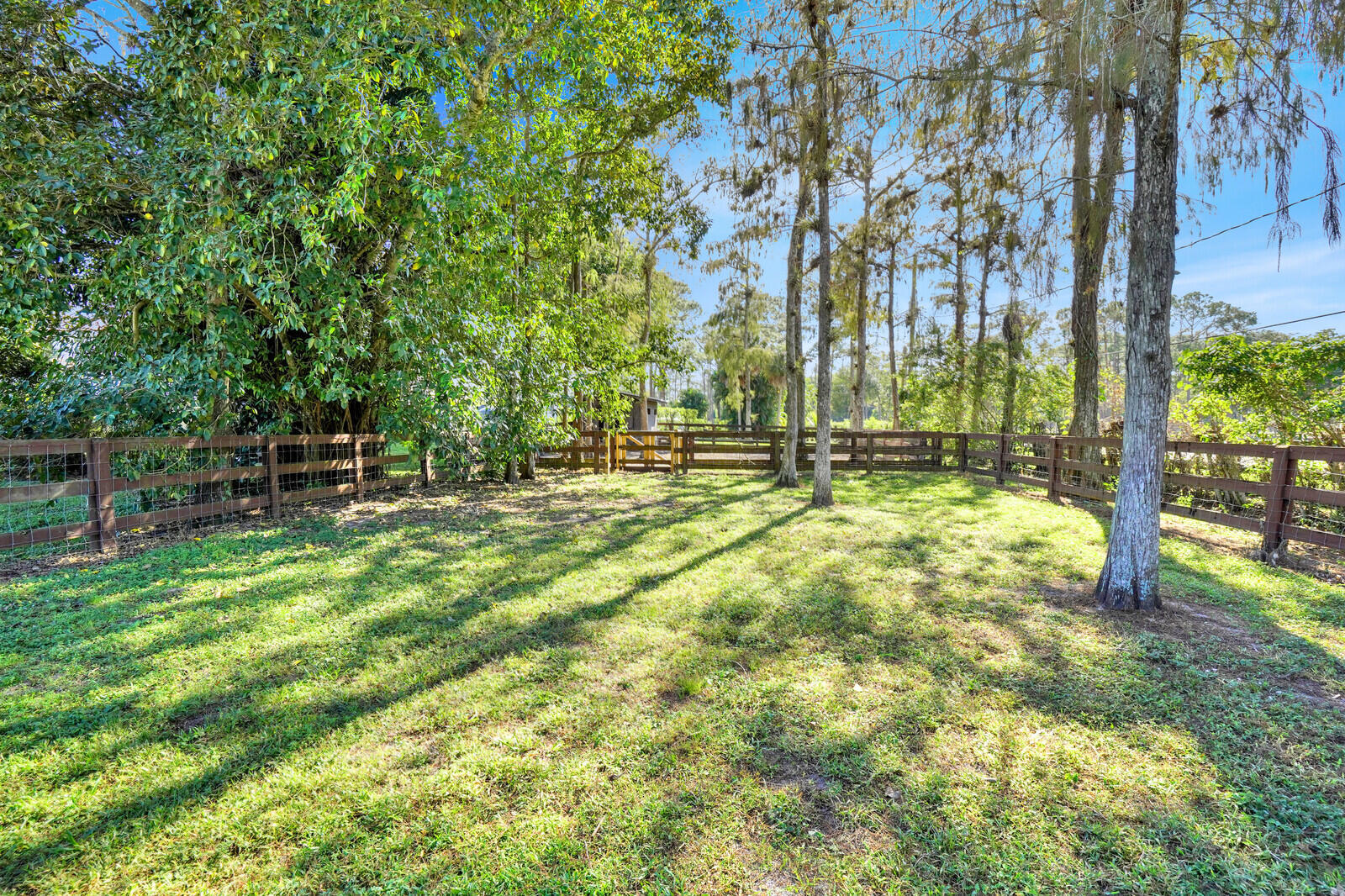 11231 Ira Lane Property Photo 15
