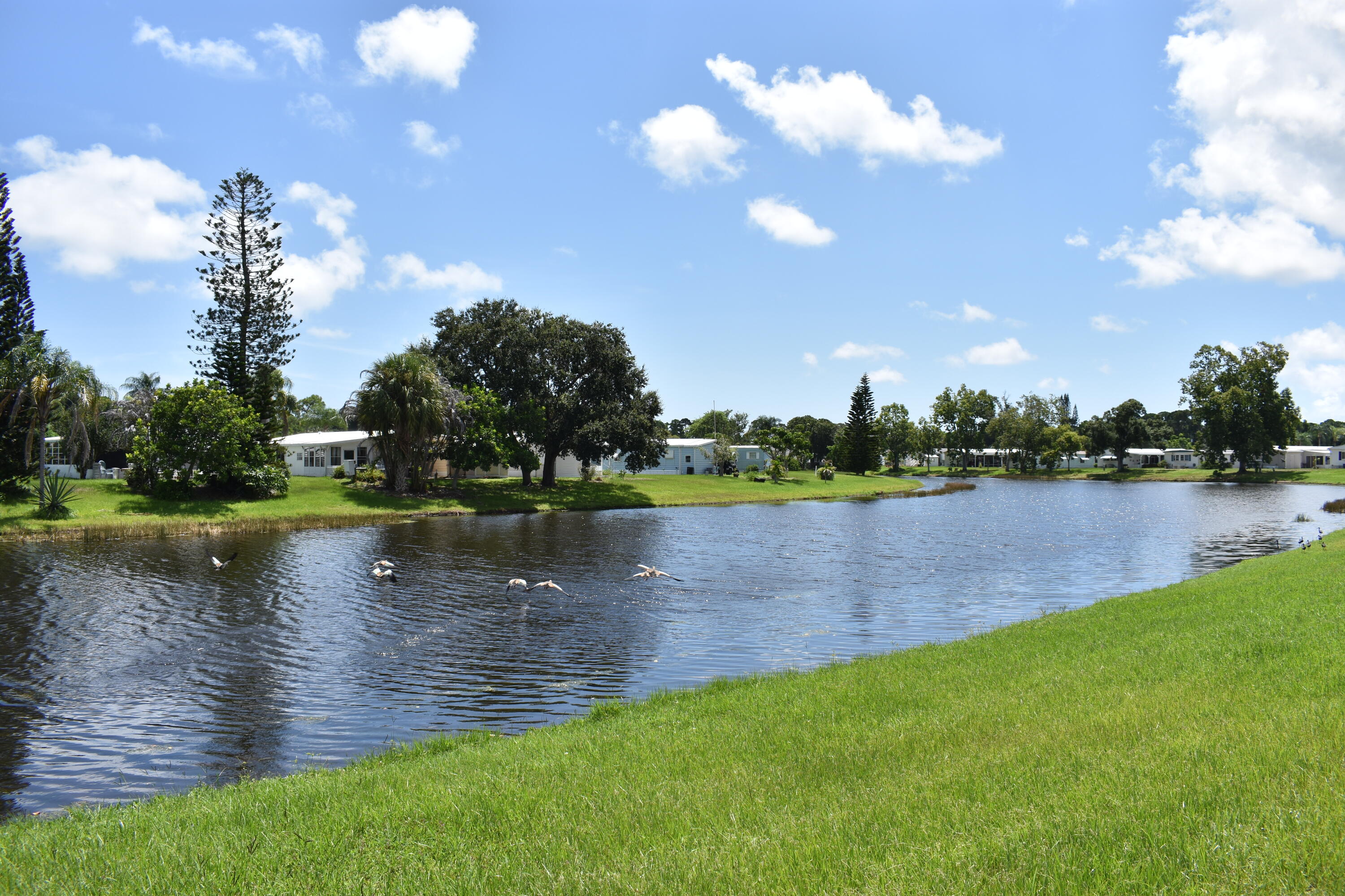 5 W Caribbean Property Photo 22